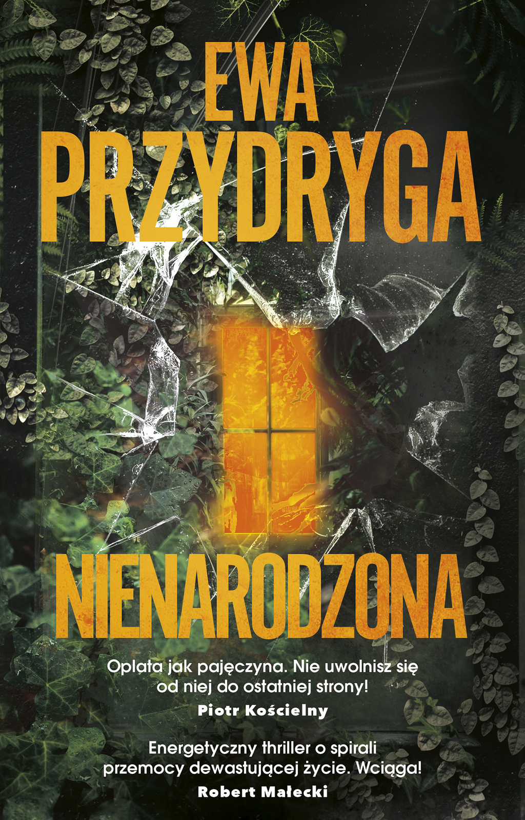 Nienarodzona book cover