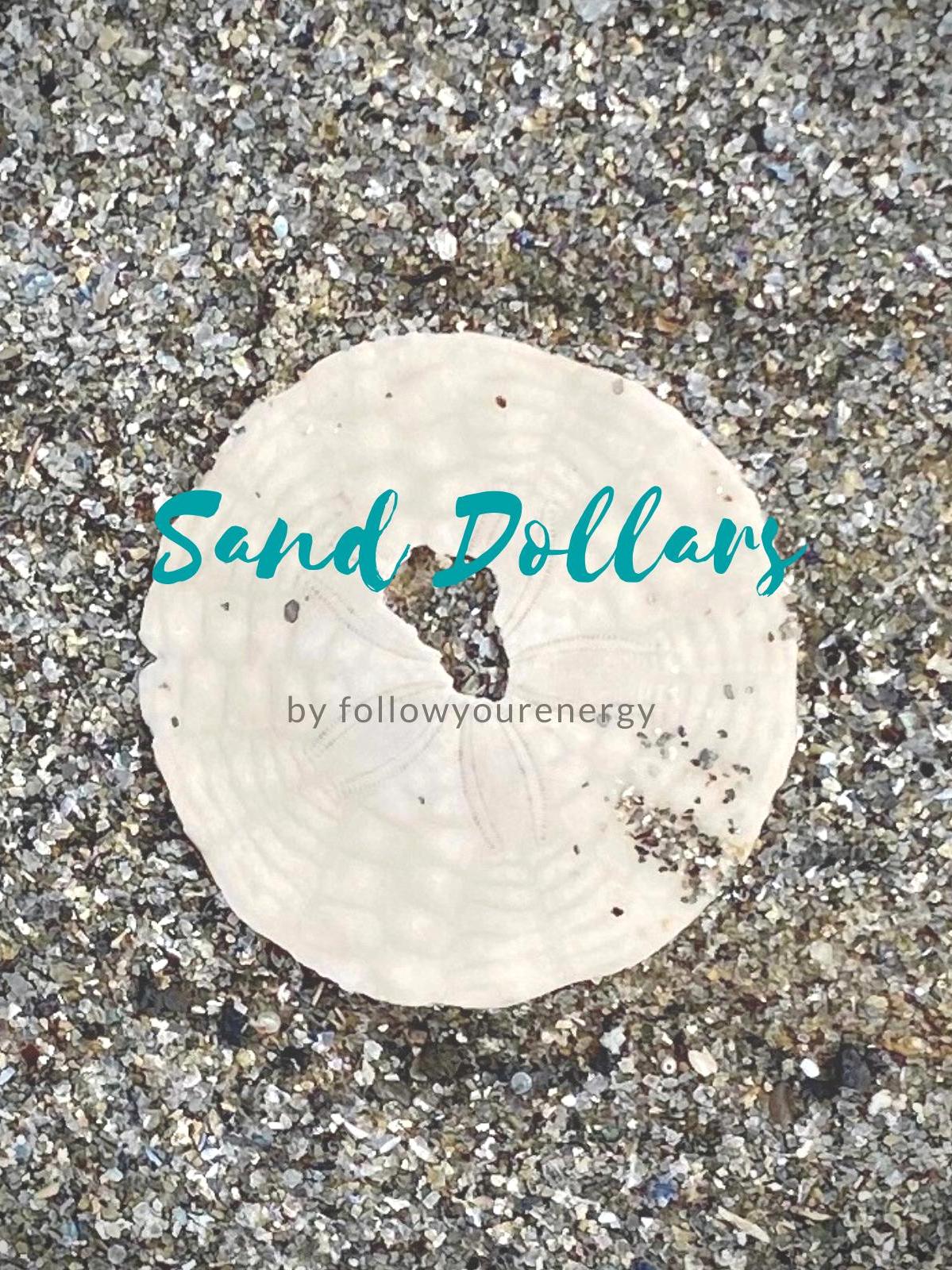 Sand Dollars