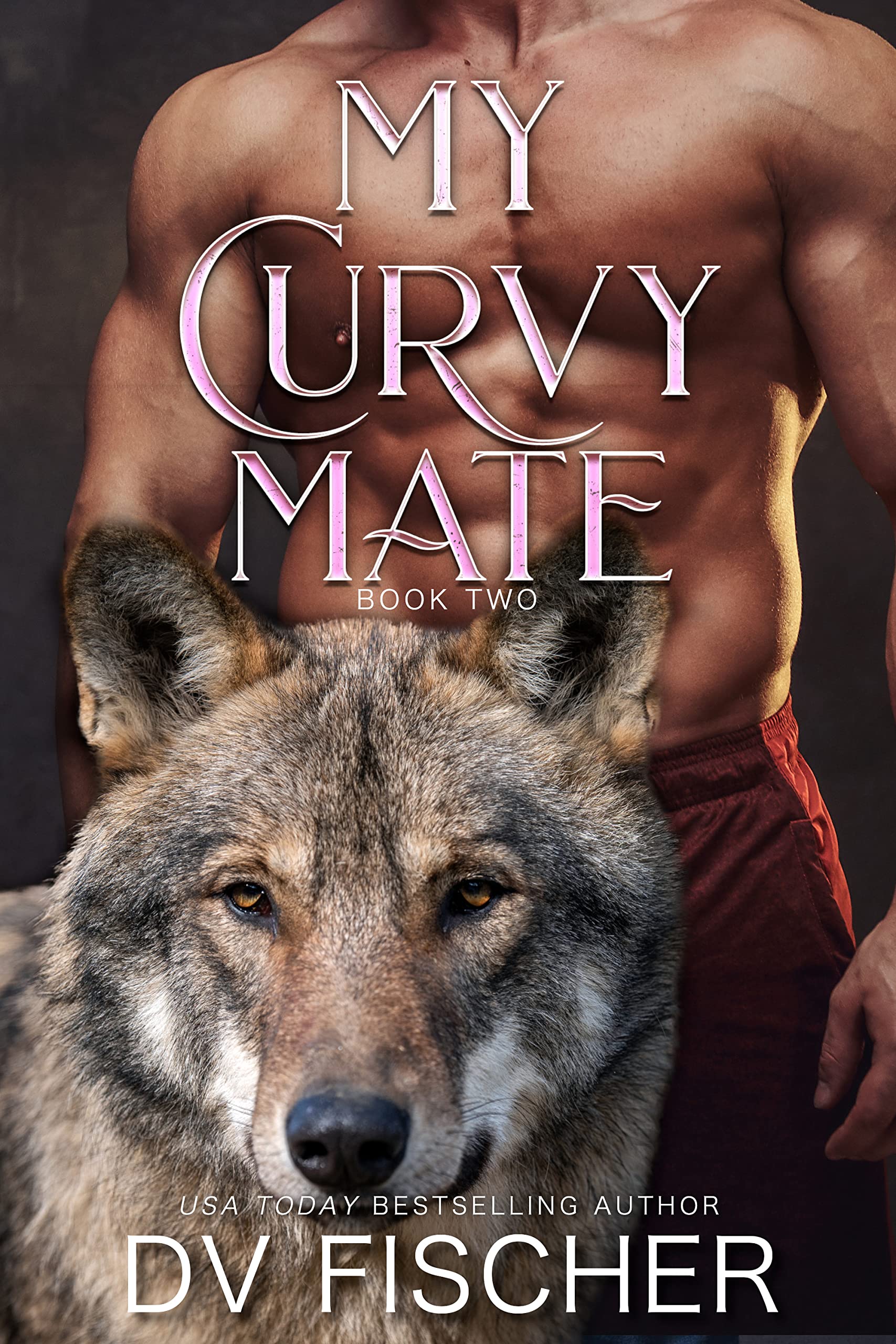 My Curvy Mate: Book Two