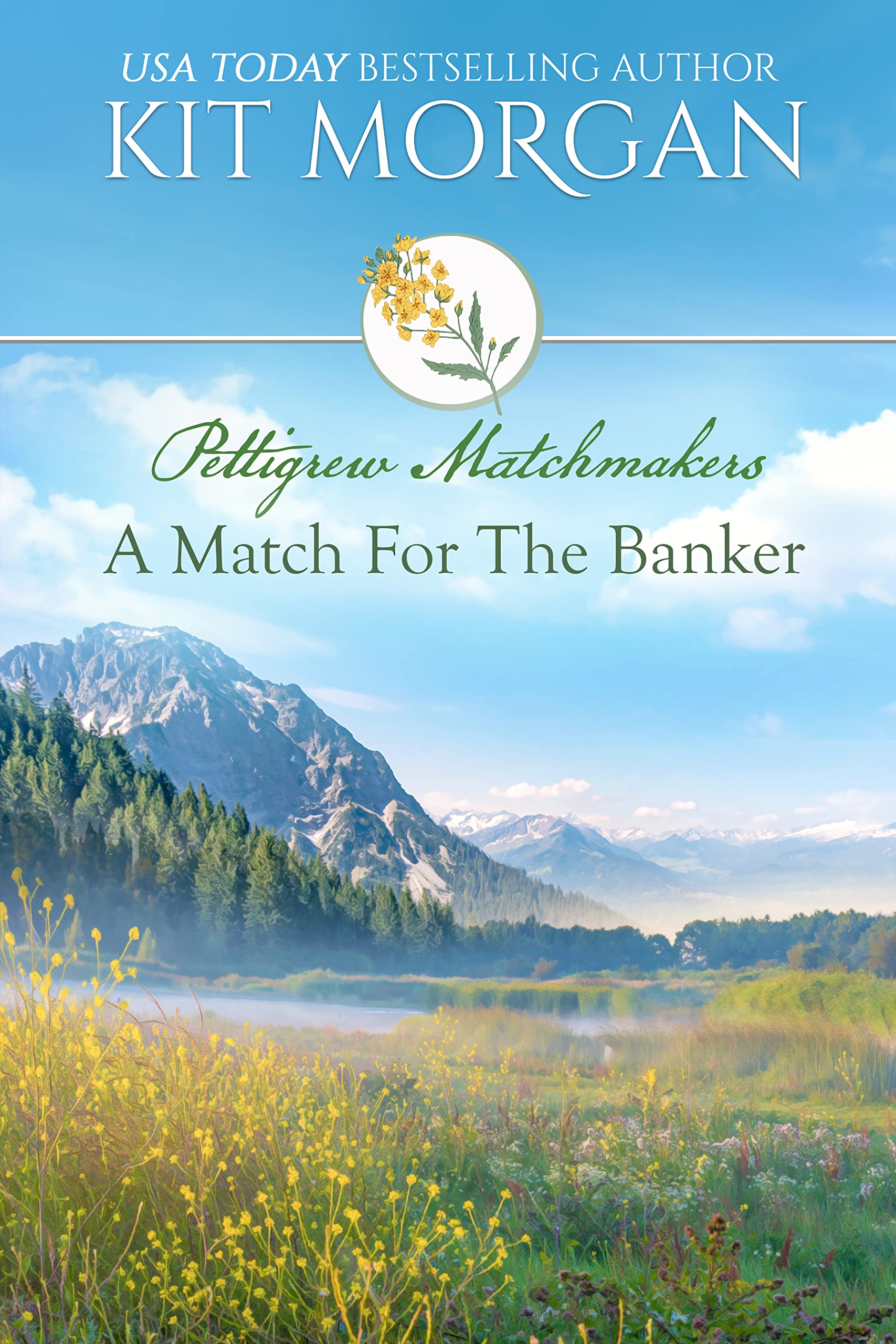 A Match for the Banker book cover