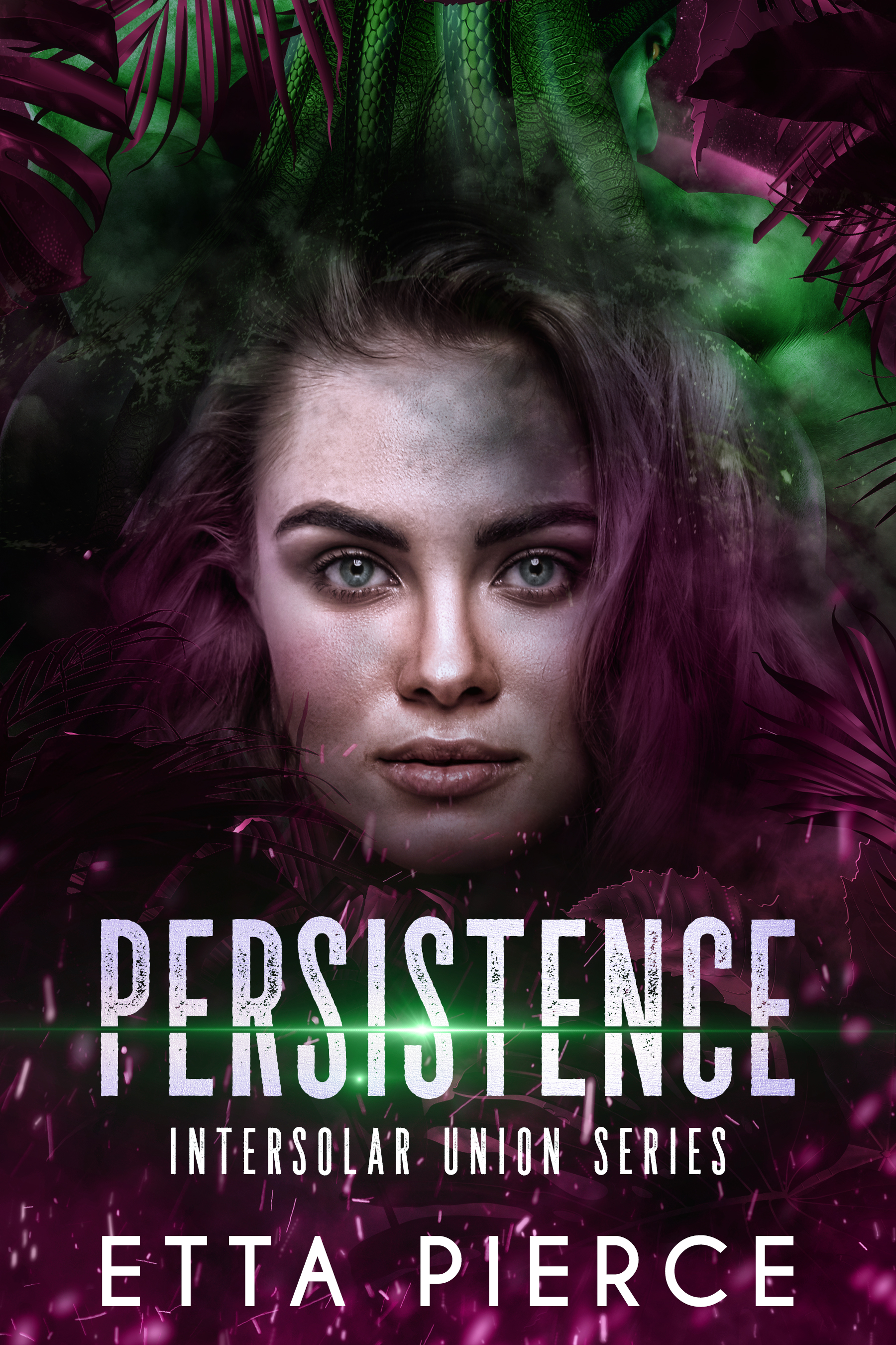 Persistence book cover