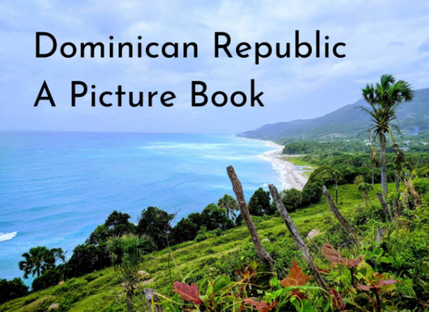 Dominican Republic A Picture Book by Tara Pearl Goodreads