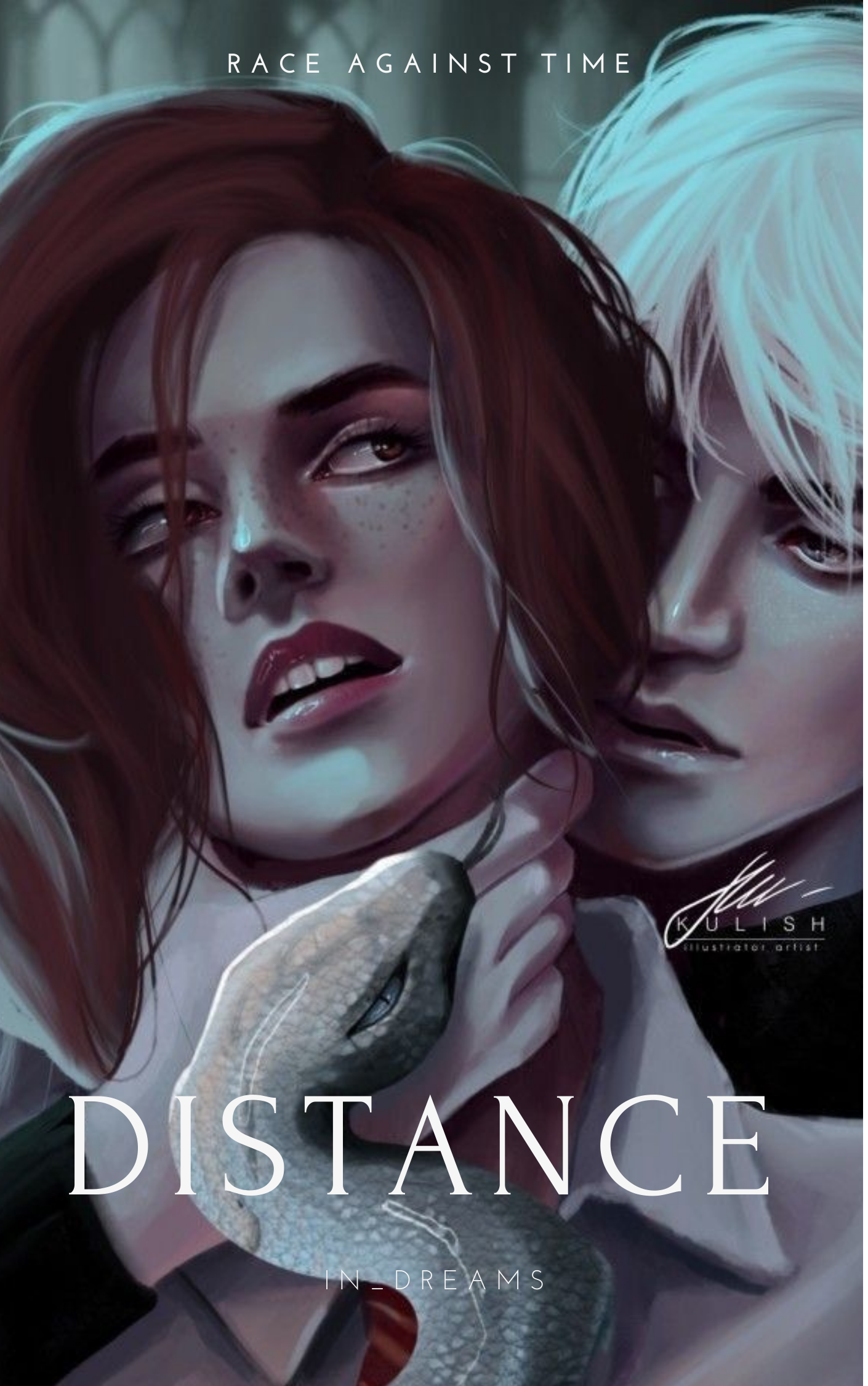 Distance book cover