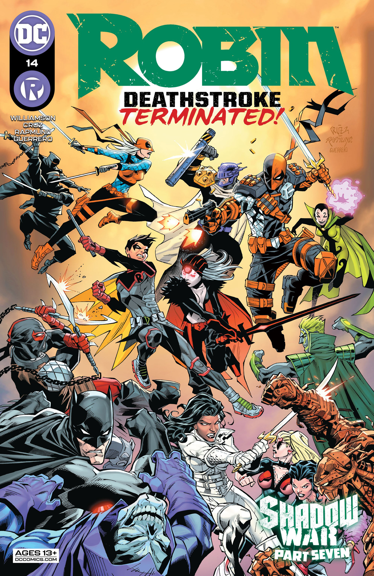 Robin (2021-) #14 book cover