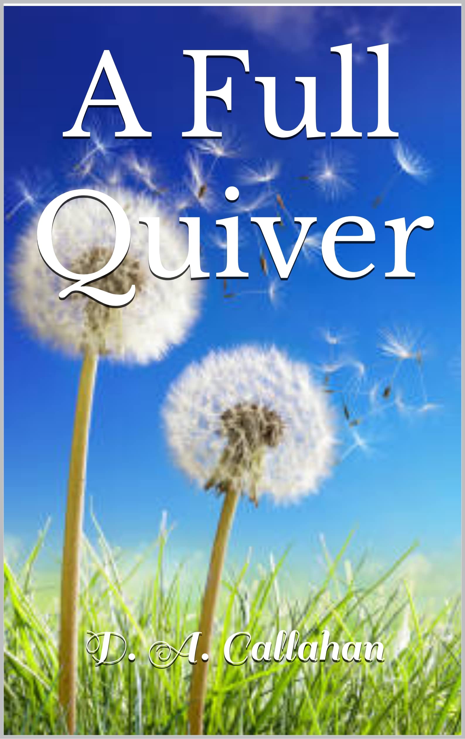 A Full Quiver