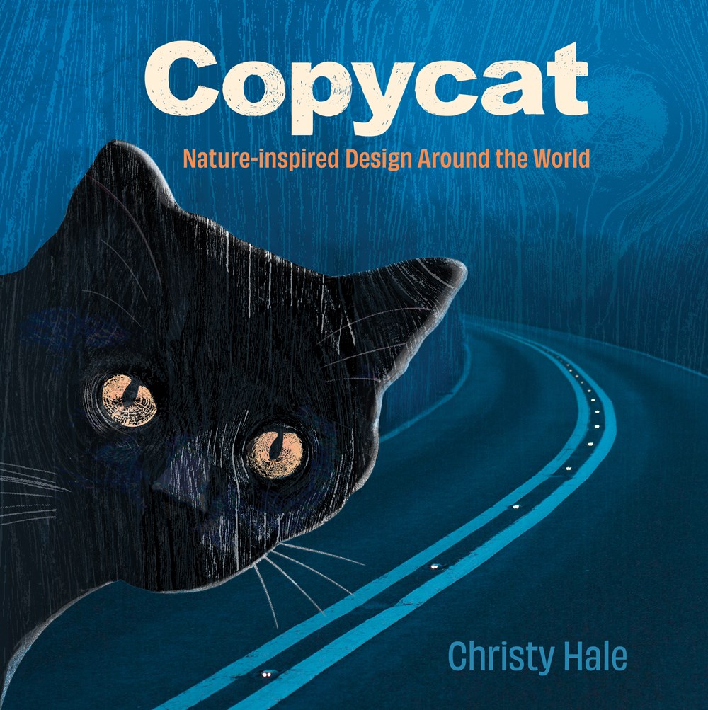 Copycat: Nature-inspired Design Around the World