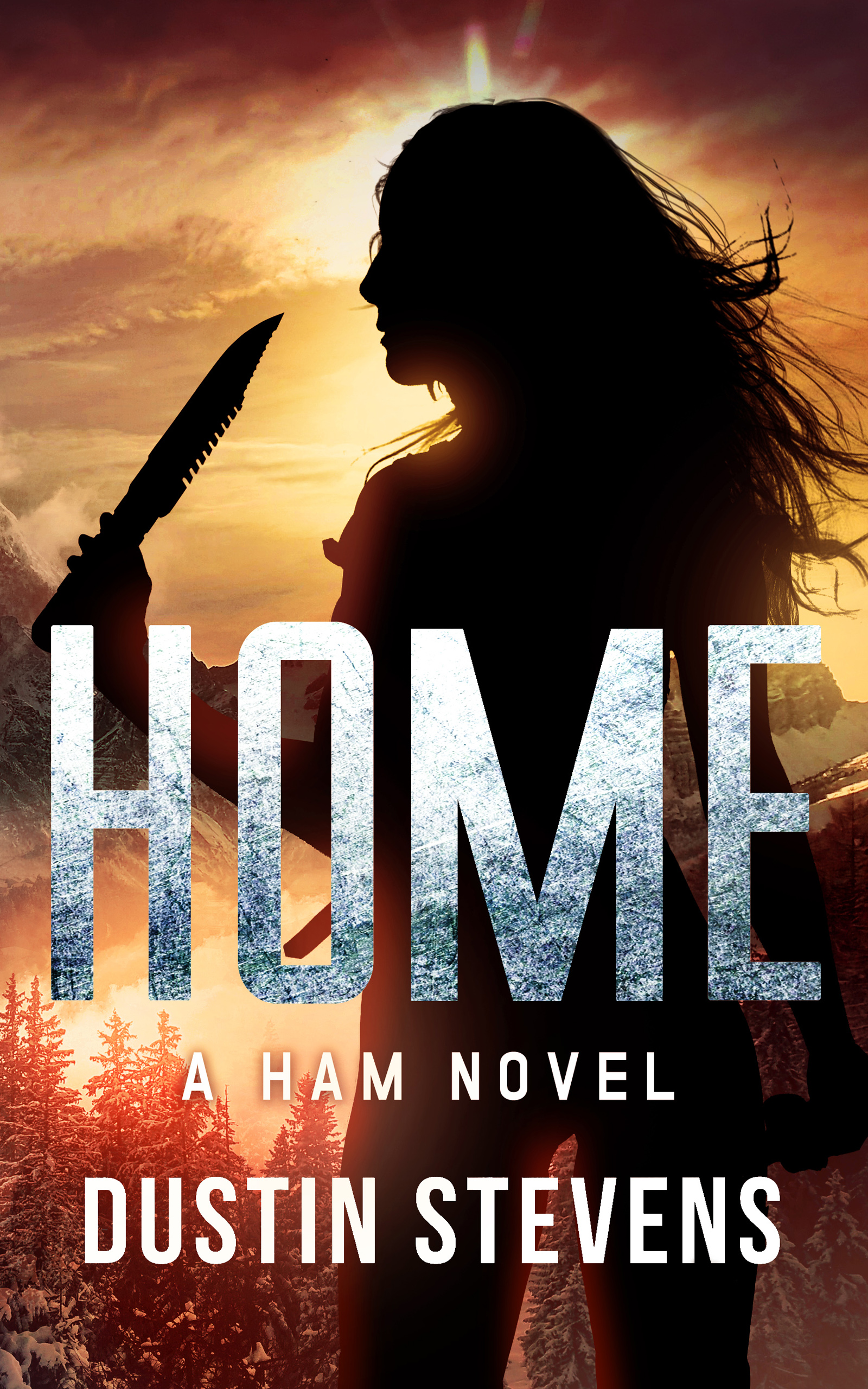 Home book cover