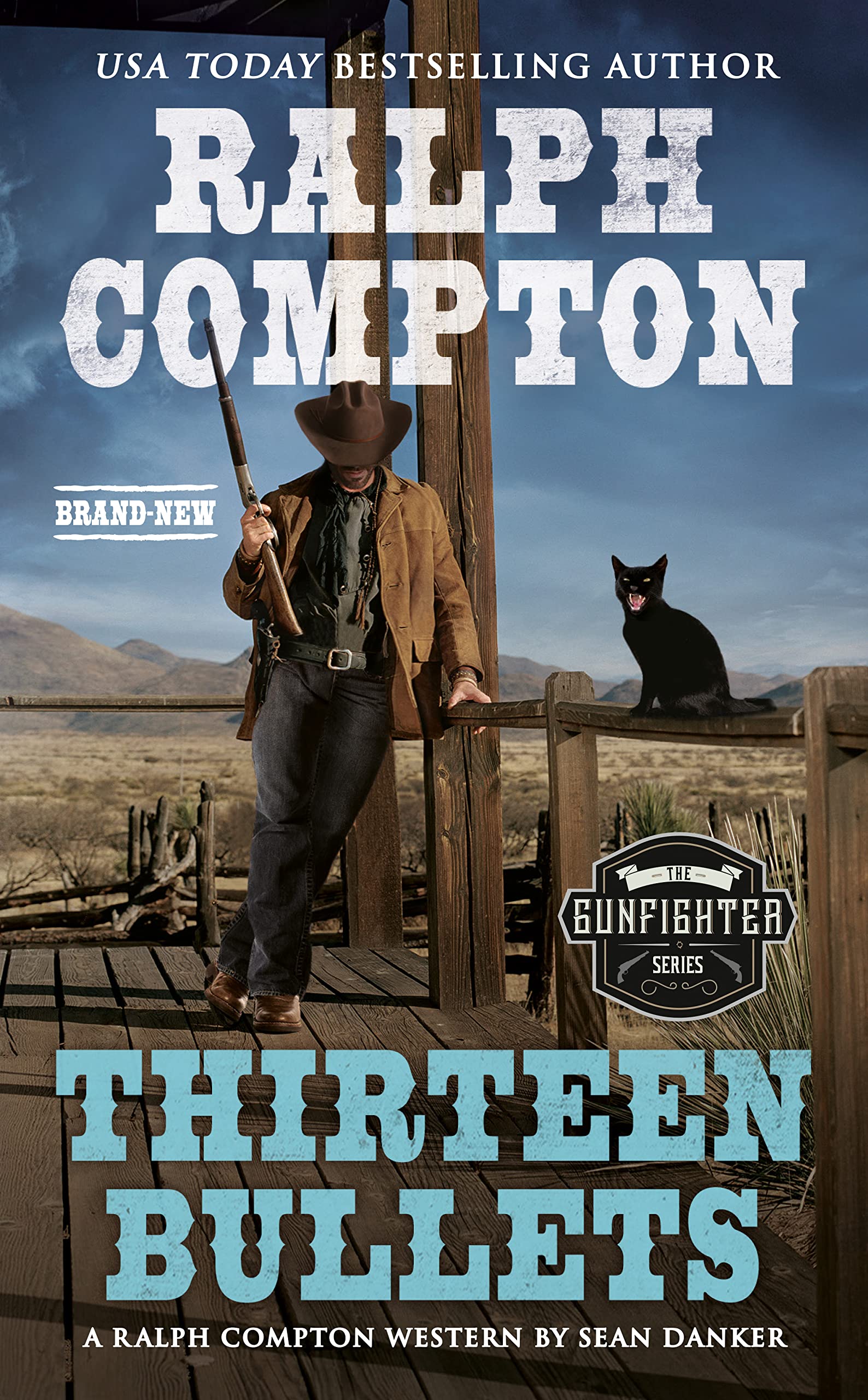 Thirteen Bullets book cover