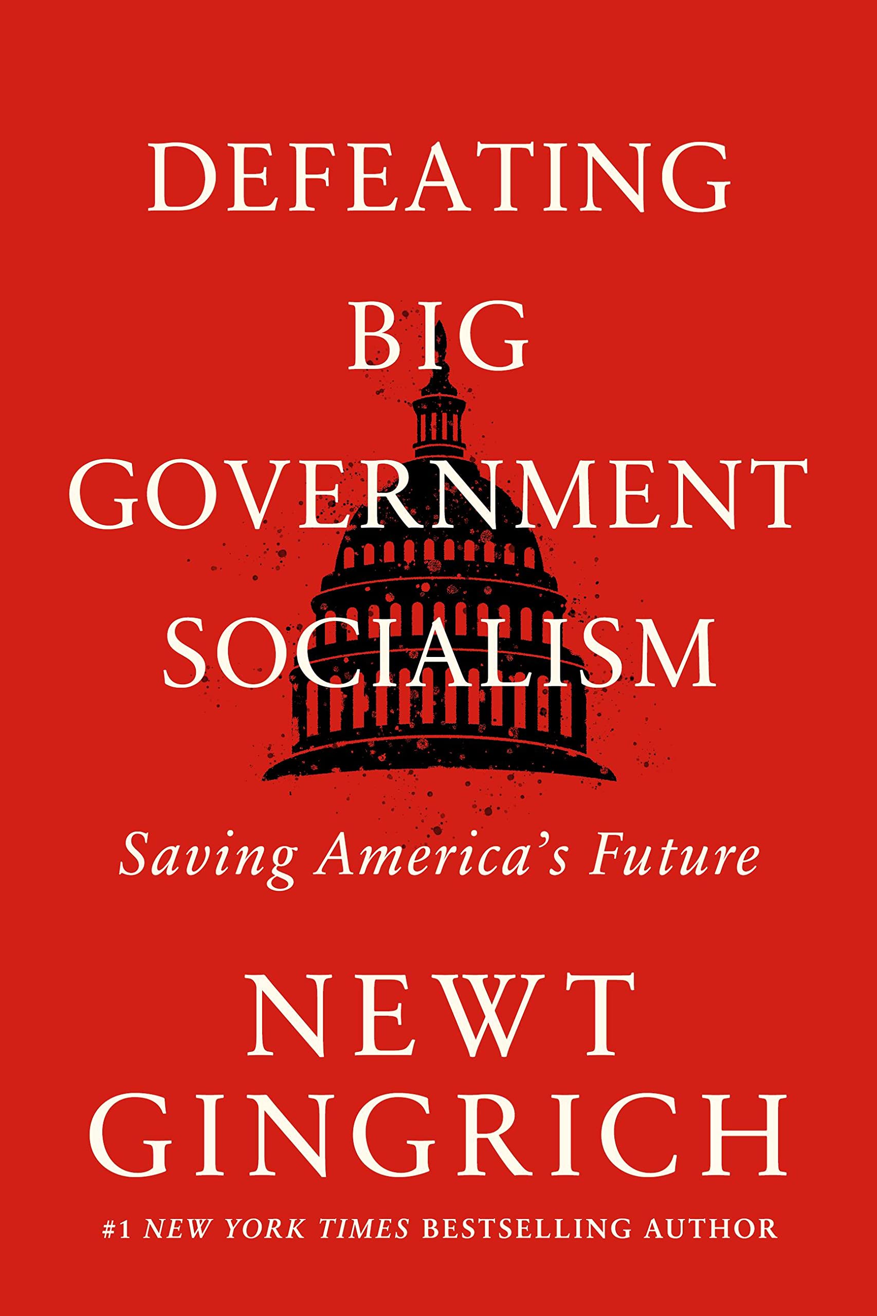 Defeating Big Government Socialism book cover