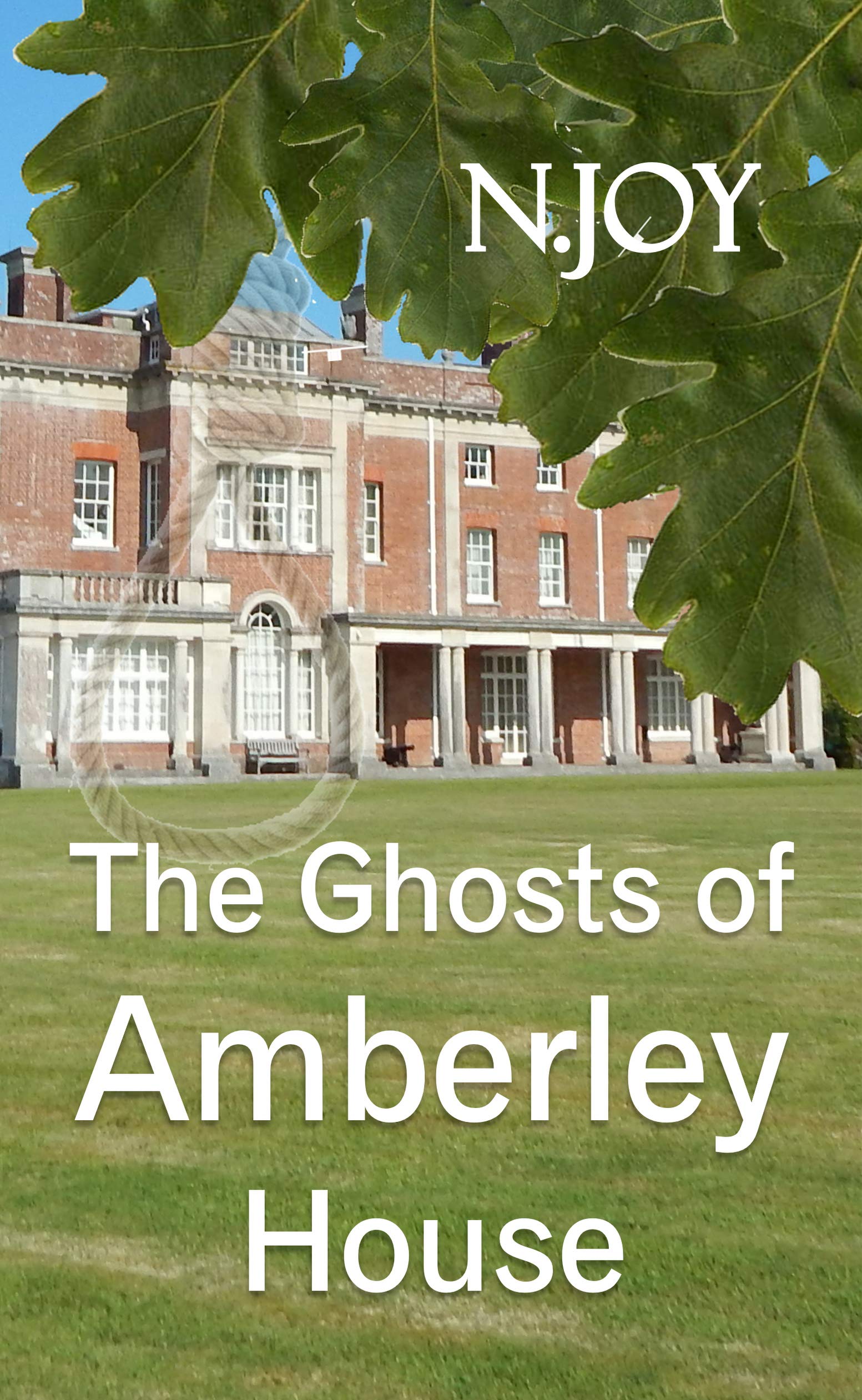 The Ghosts of Amberley House (A Duckberry Novel Book 2) by N Joy