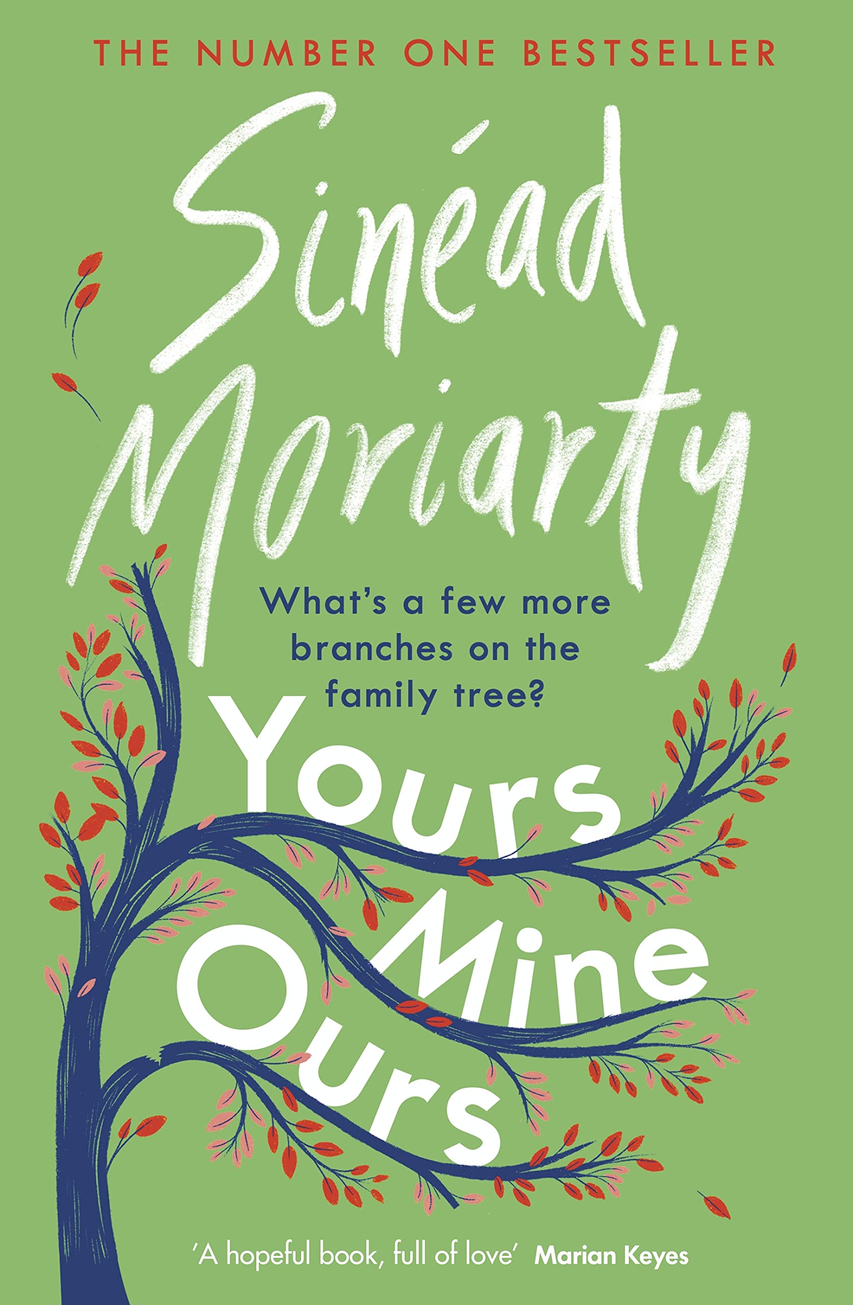 Yours, Mine, Ours book cover
