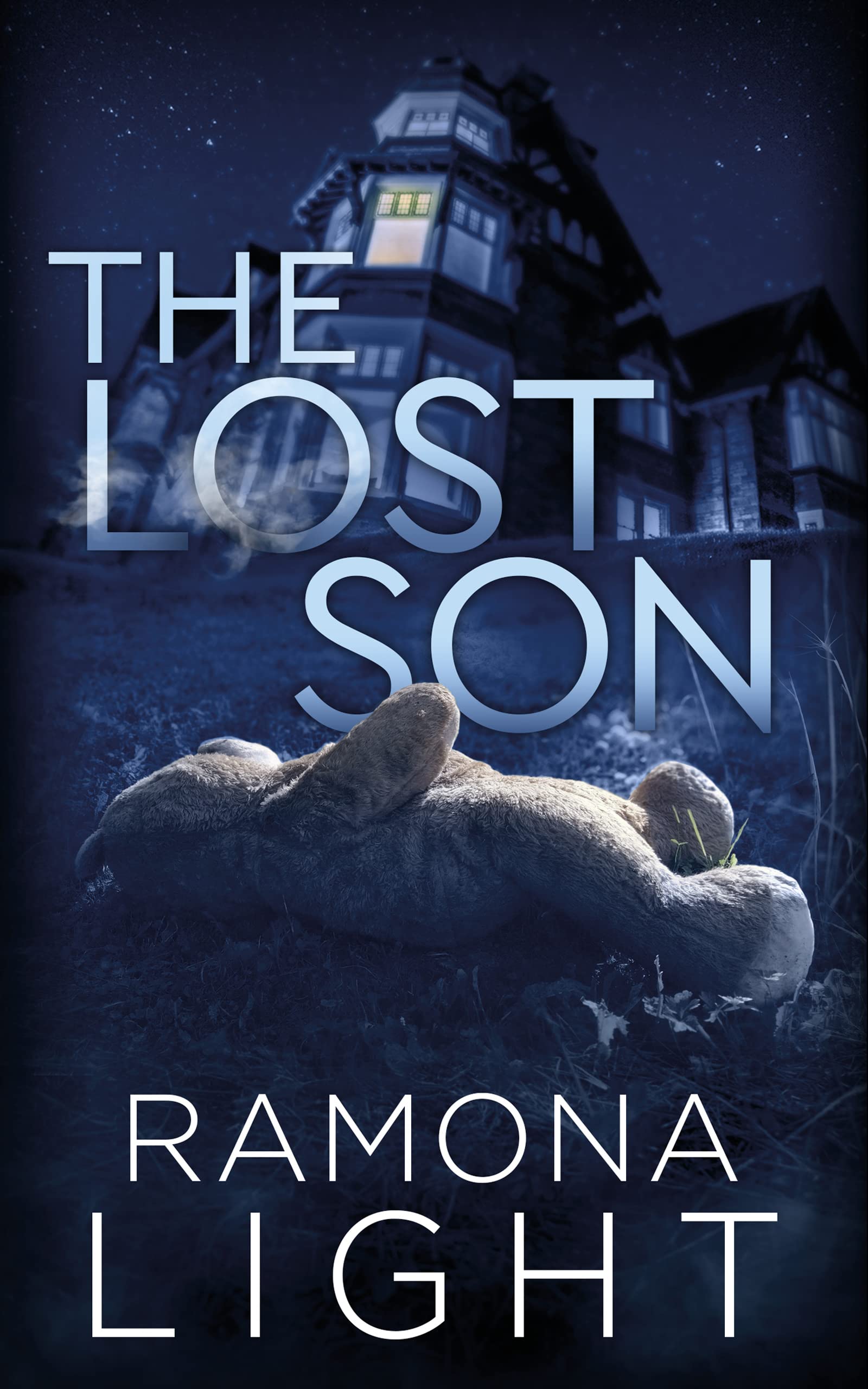 The Lost Son: A Mystery Thriller