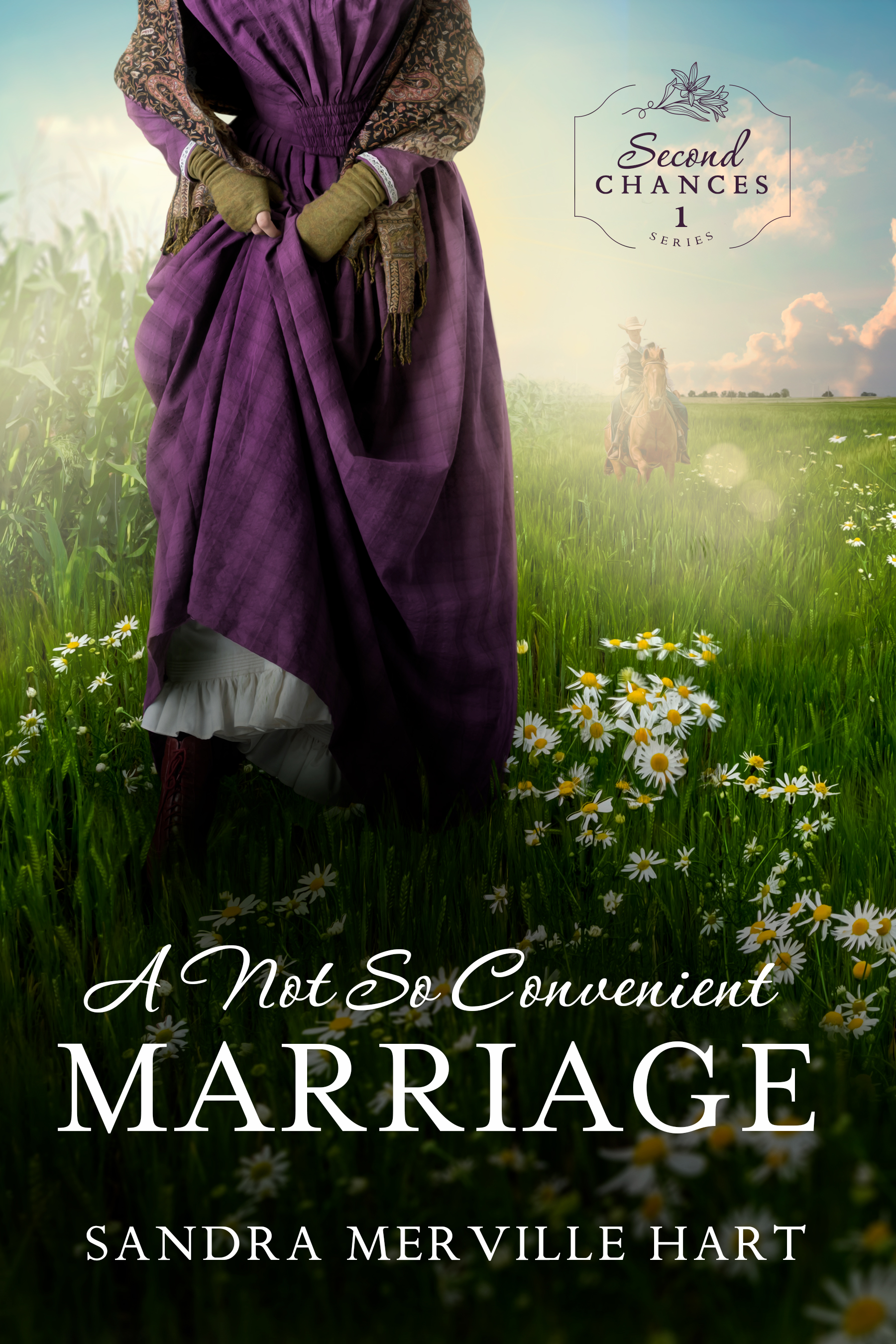 A Not So Convenient Marriage book cover