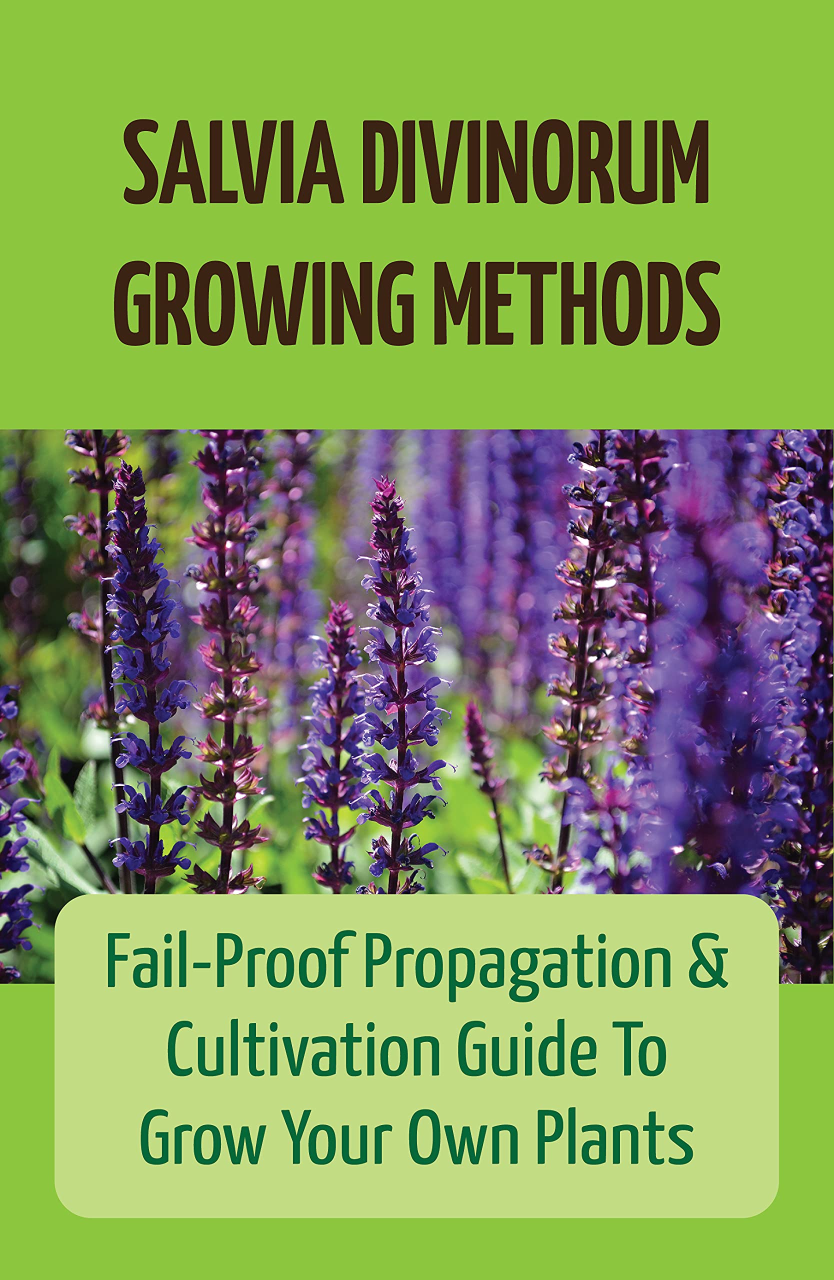Salvia Divinorum Growing Methods FailProof Propagation & Cultivation