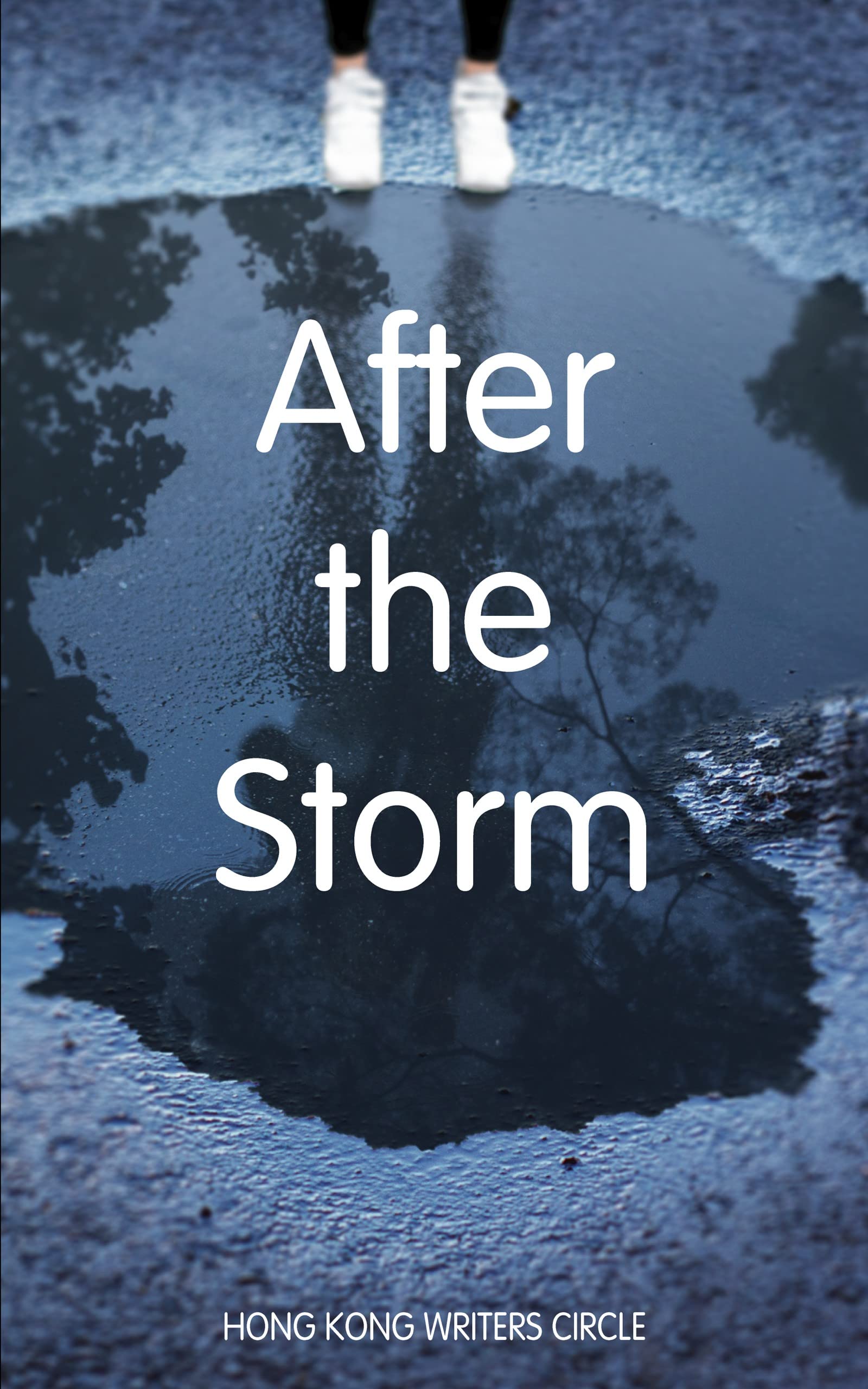 After the Storm book cover