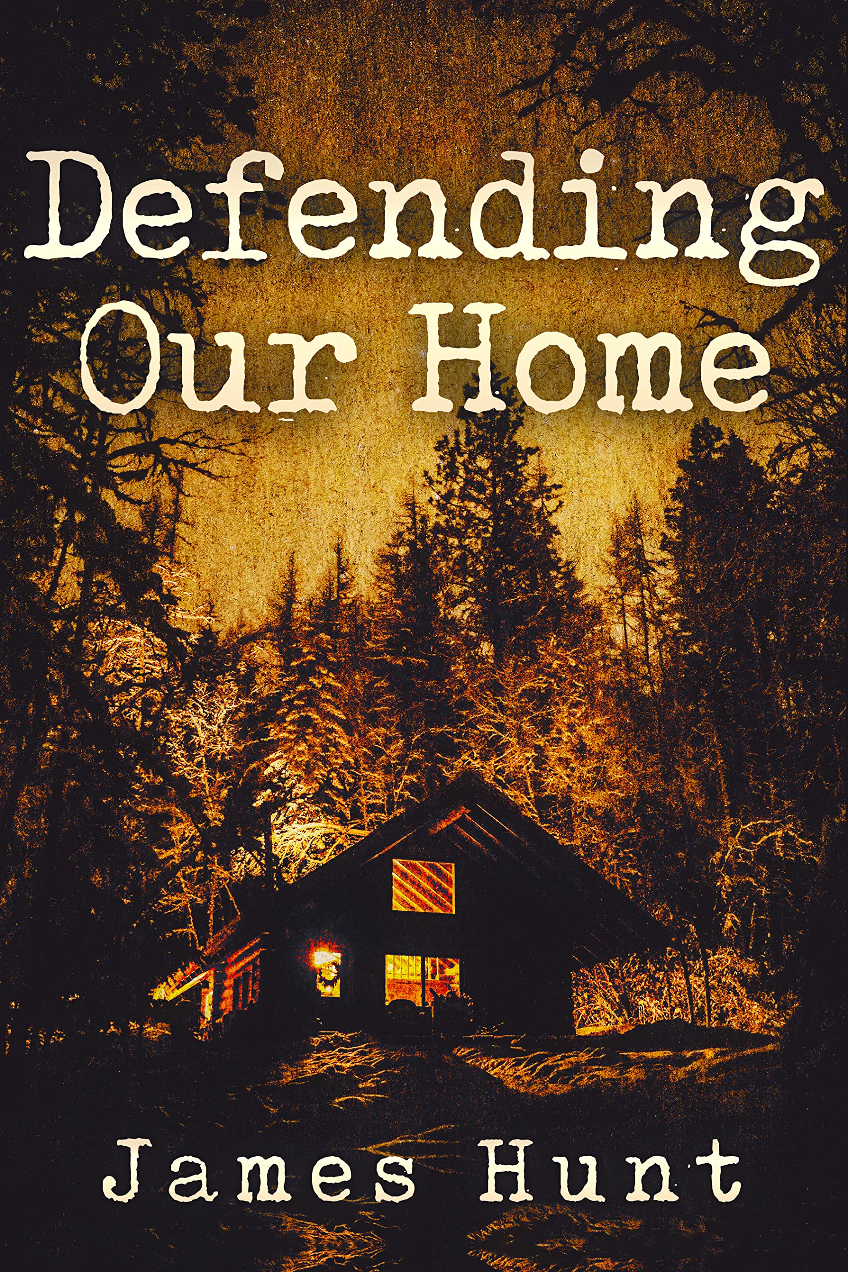 Defending Our Home Boxset book cover