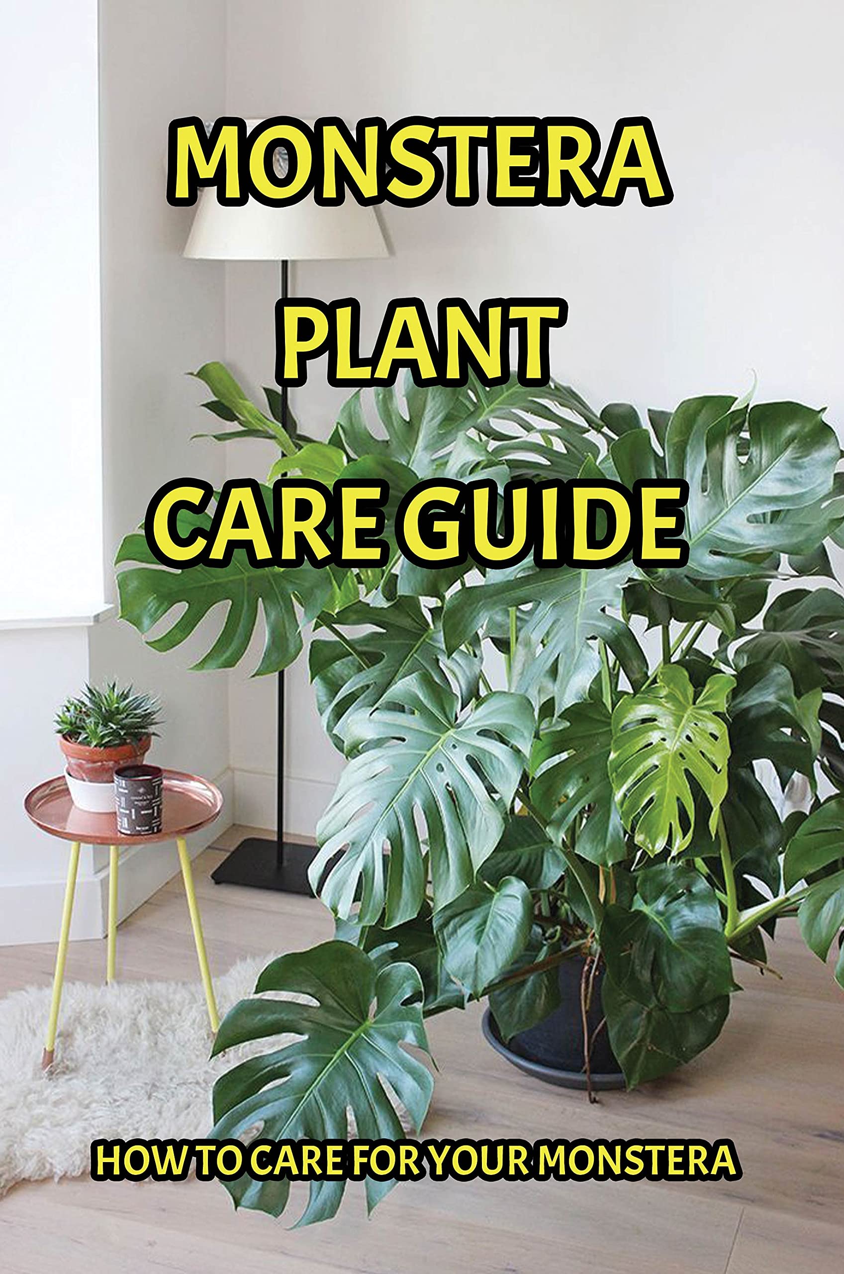 Monstera Plant Care Guide How To Care For Your Monstera Monstera