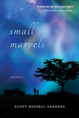 Small Marvels book cover