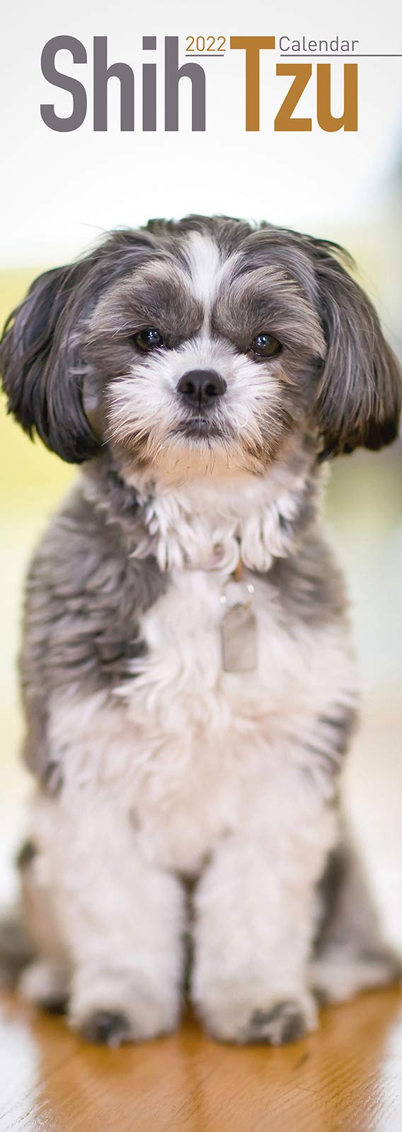Shih Tzu Slim Calendar 2022 Dog Breed Slimline Calendar 12 Month