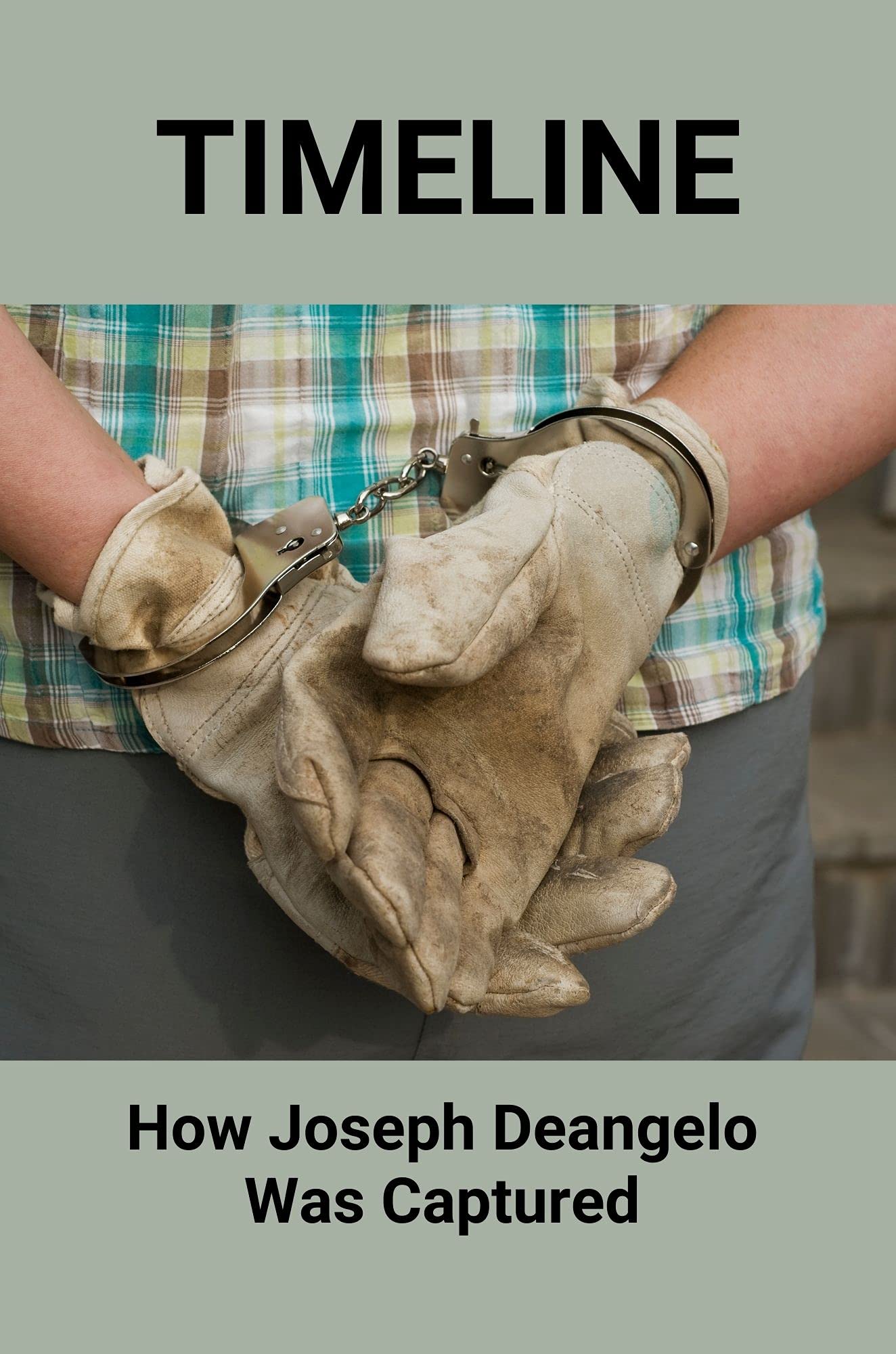 Timeline How Joseph Deangelo Was Captured Joseph James Deangelo