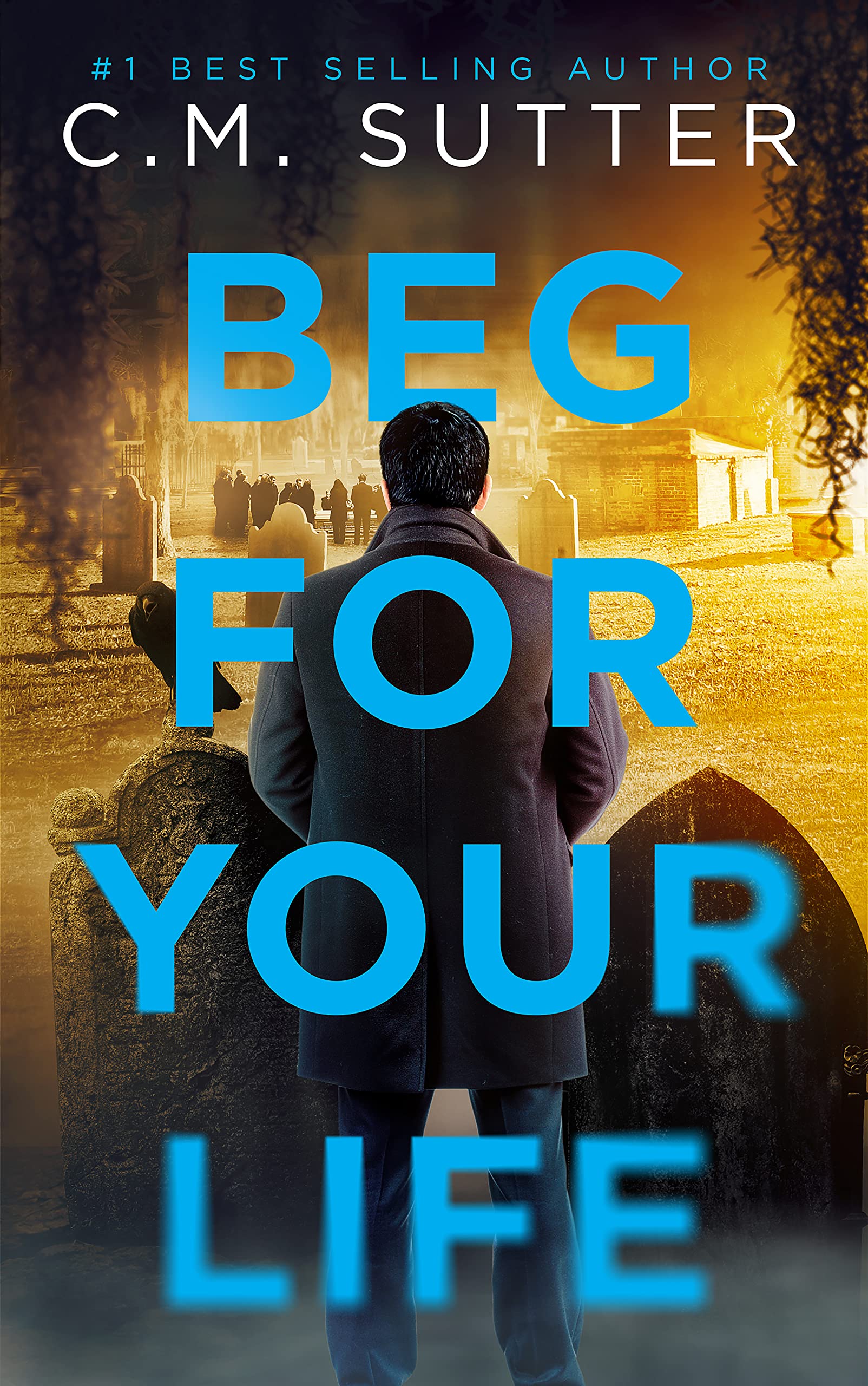 Beg For Your Life book cover