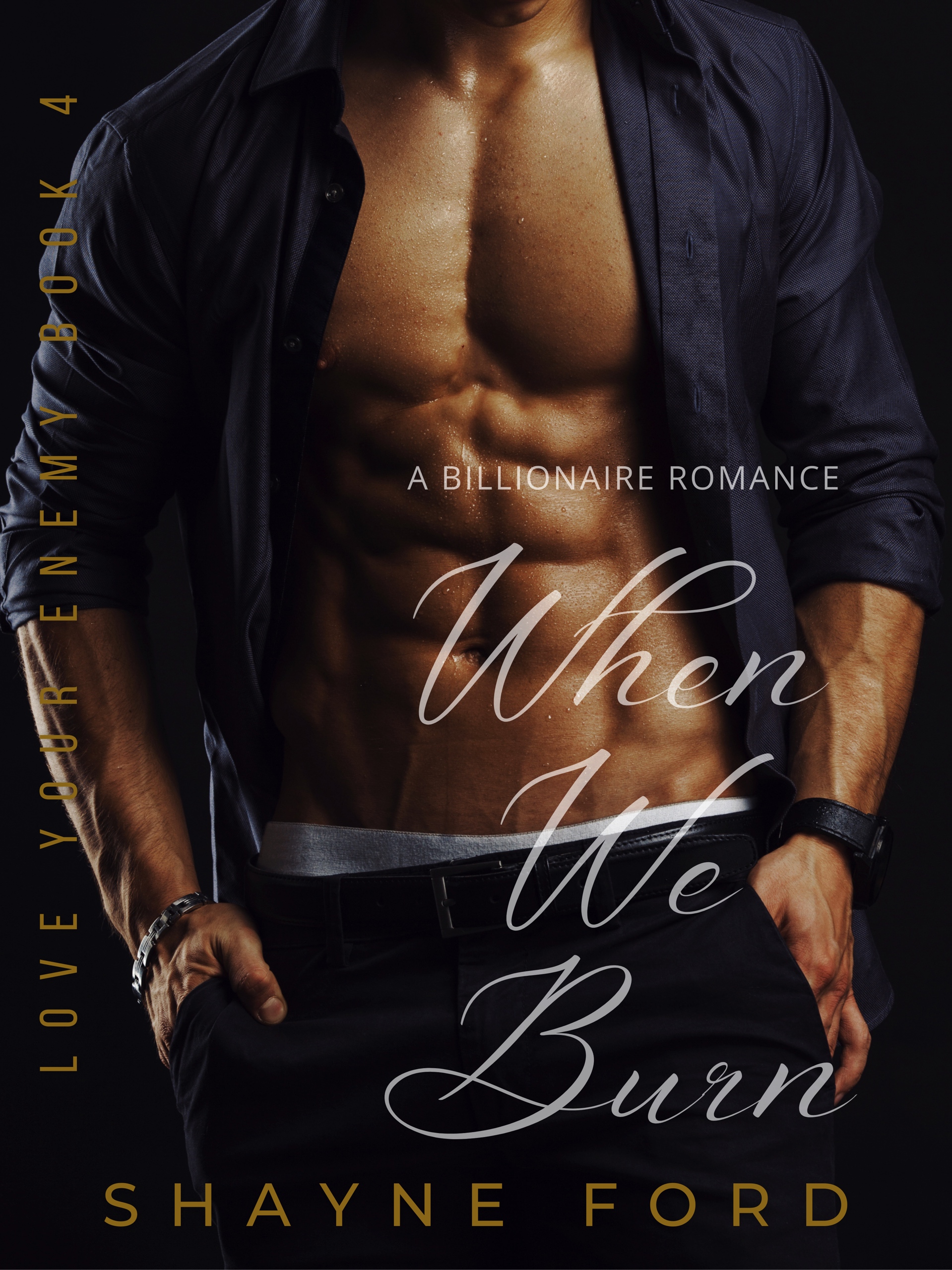 When We Burn book cover