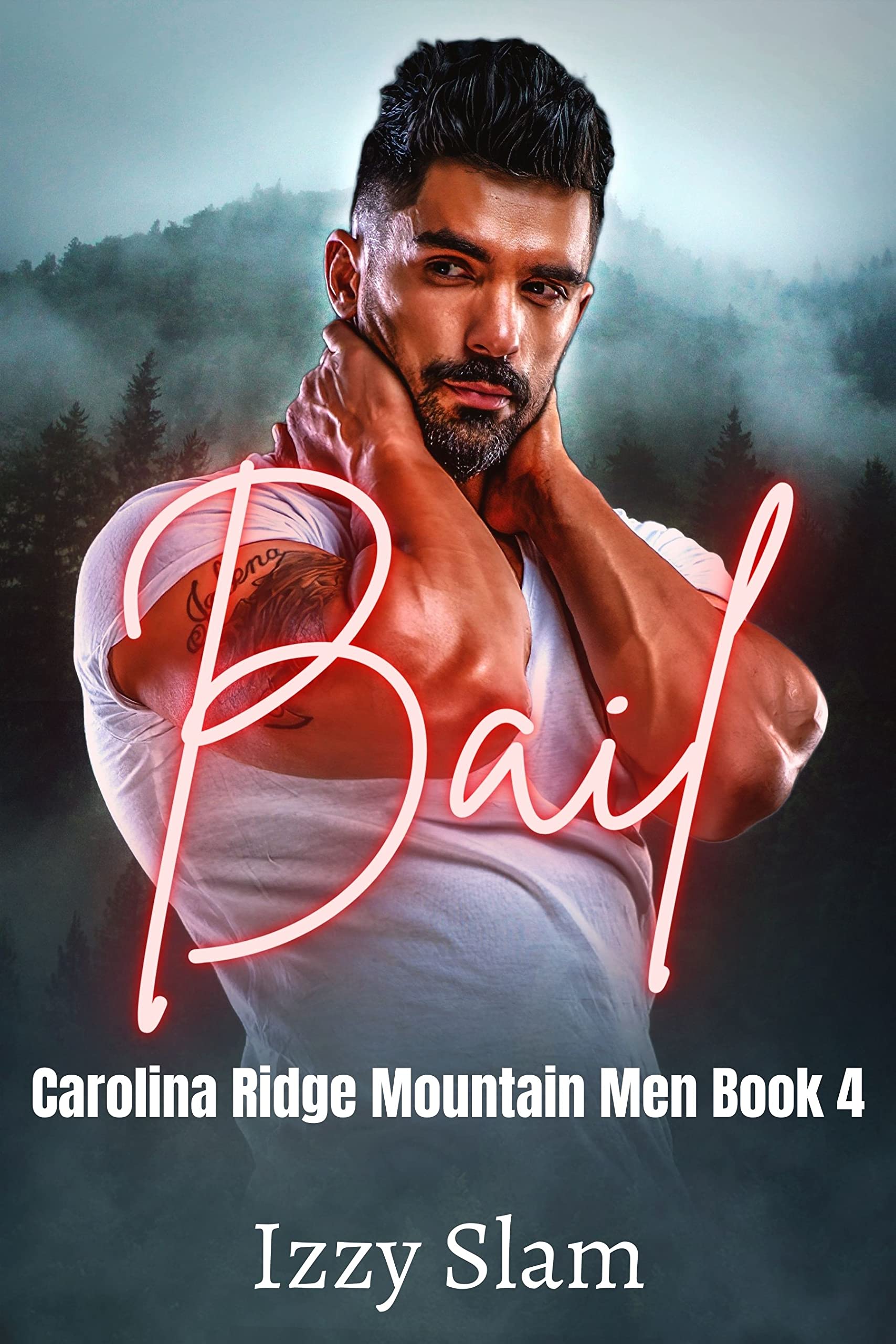 Bail book cover