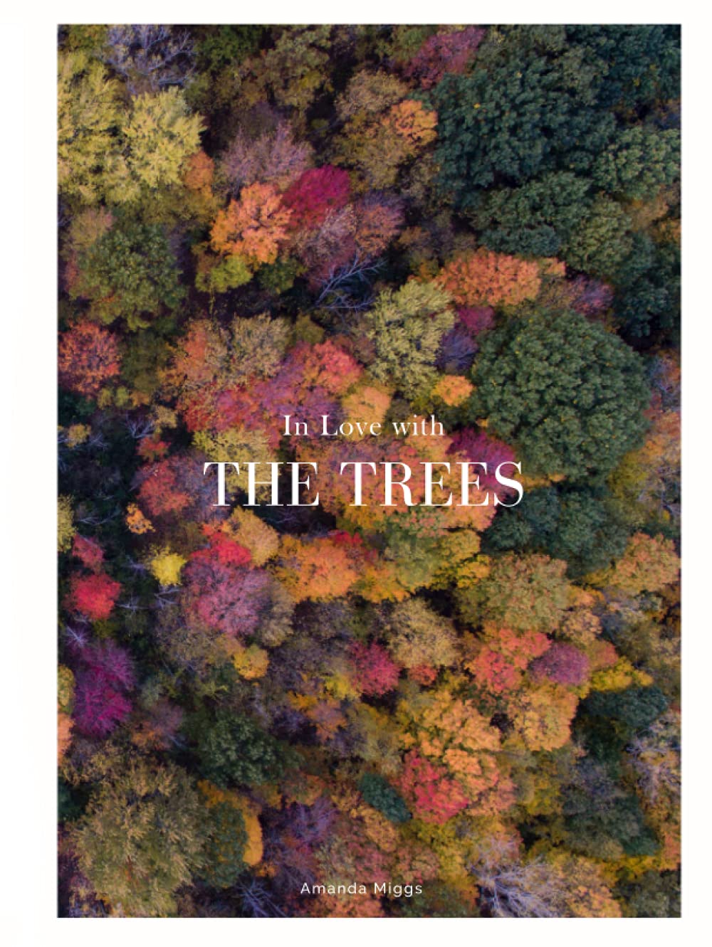 Tree Quotes About Love
