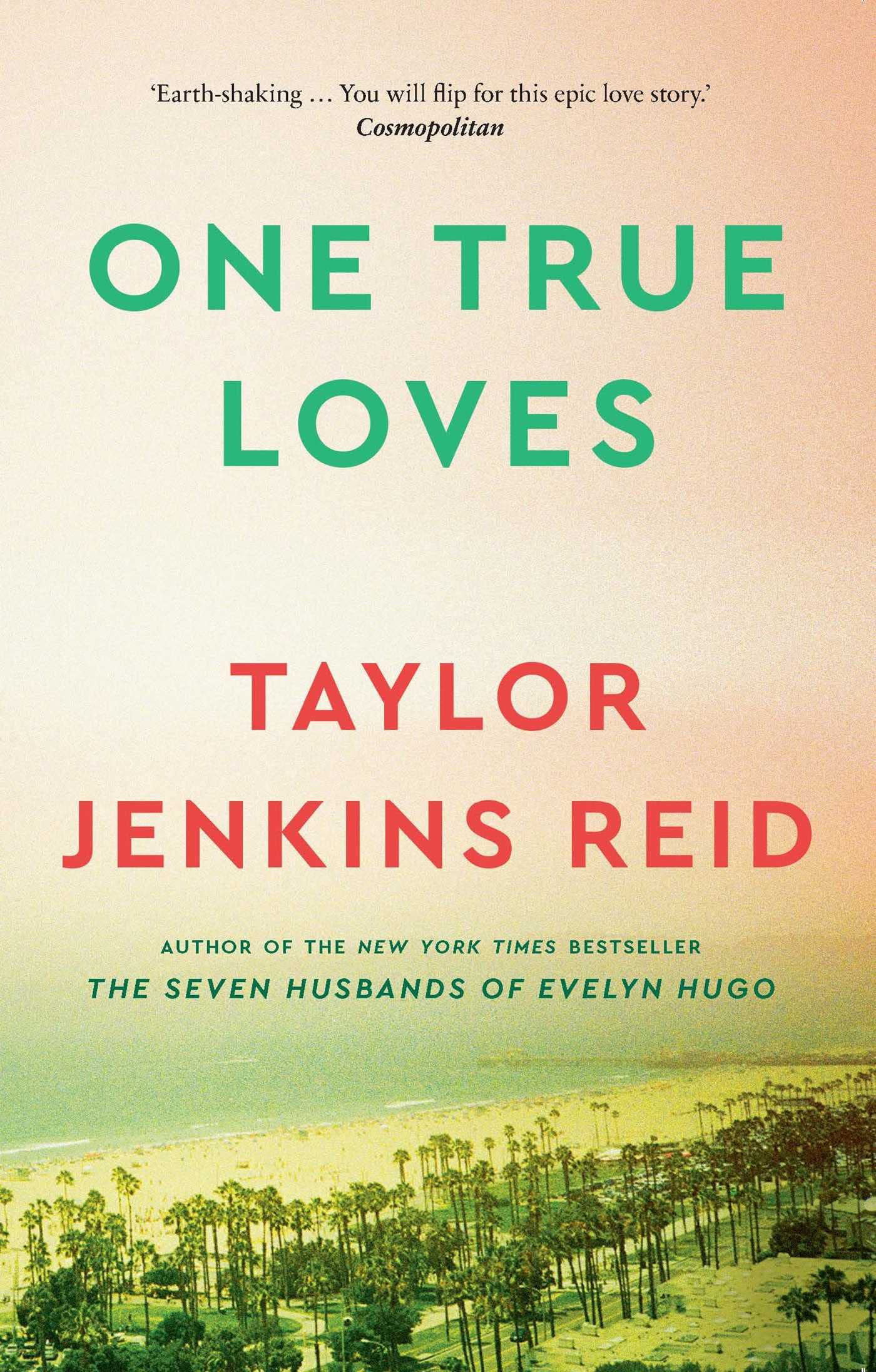 One True Loves book cover