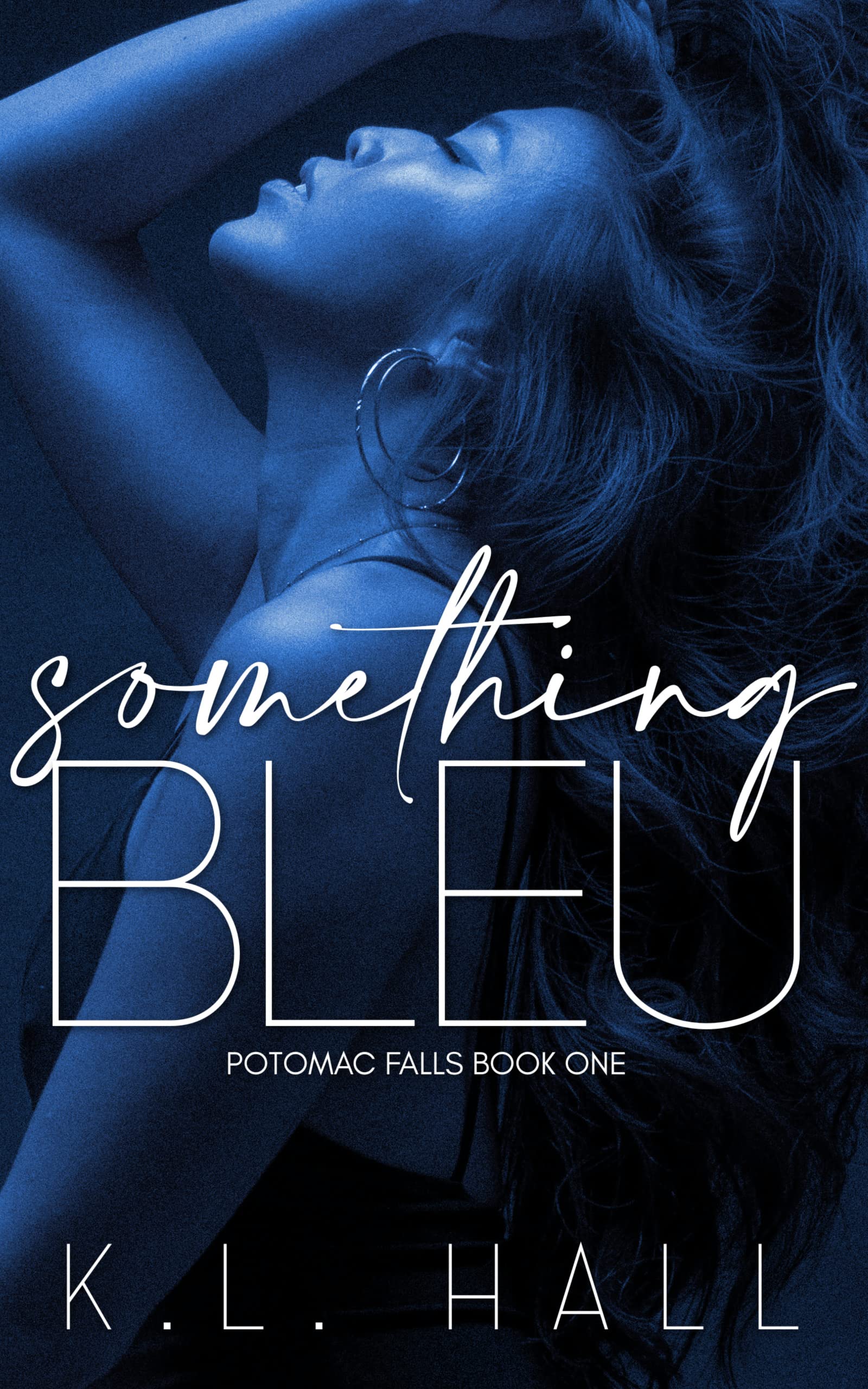 Something Bleu book cover