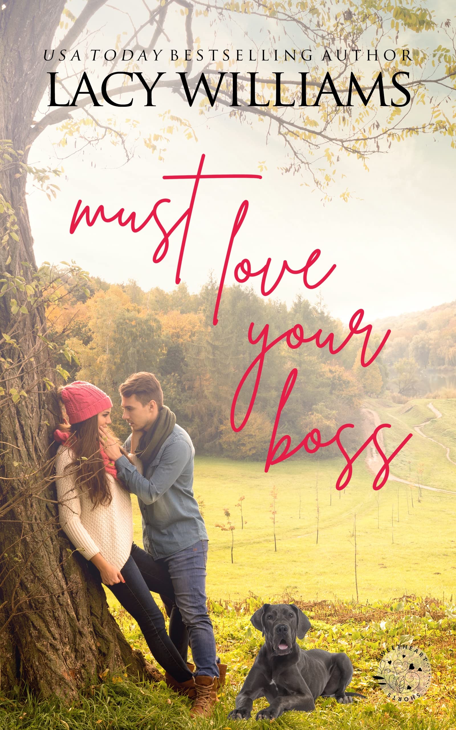 Sweetheart Shorts book cover 3