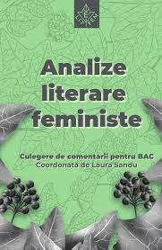 Analize literare feministe. Culegere de comentarii pentru BAC