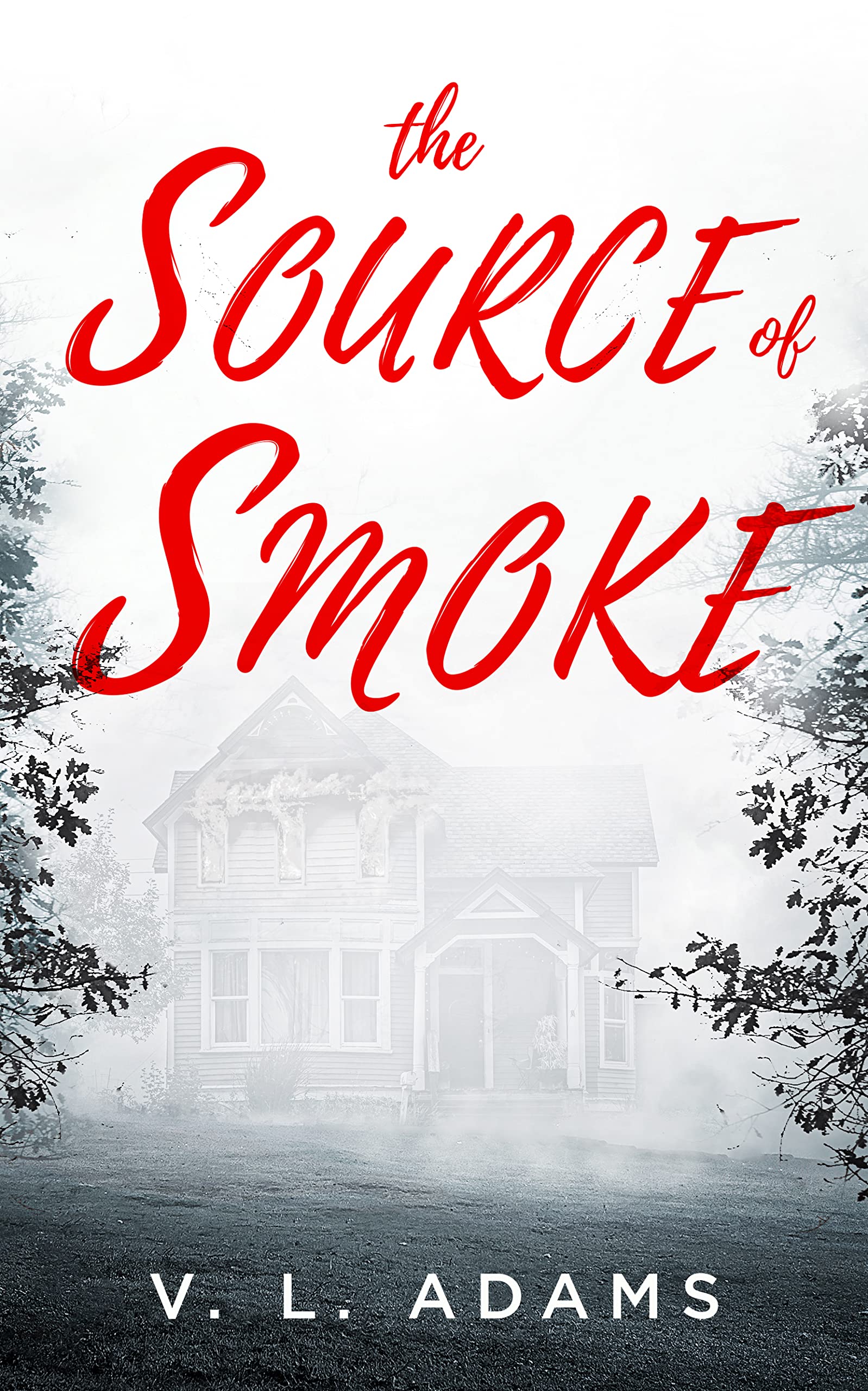 The Source of Smoke: A Gripping Small Town Mystery