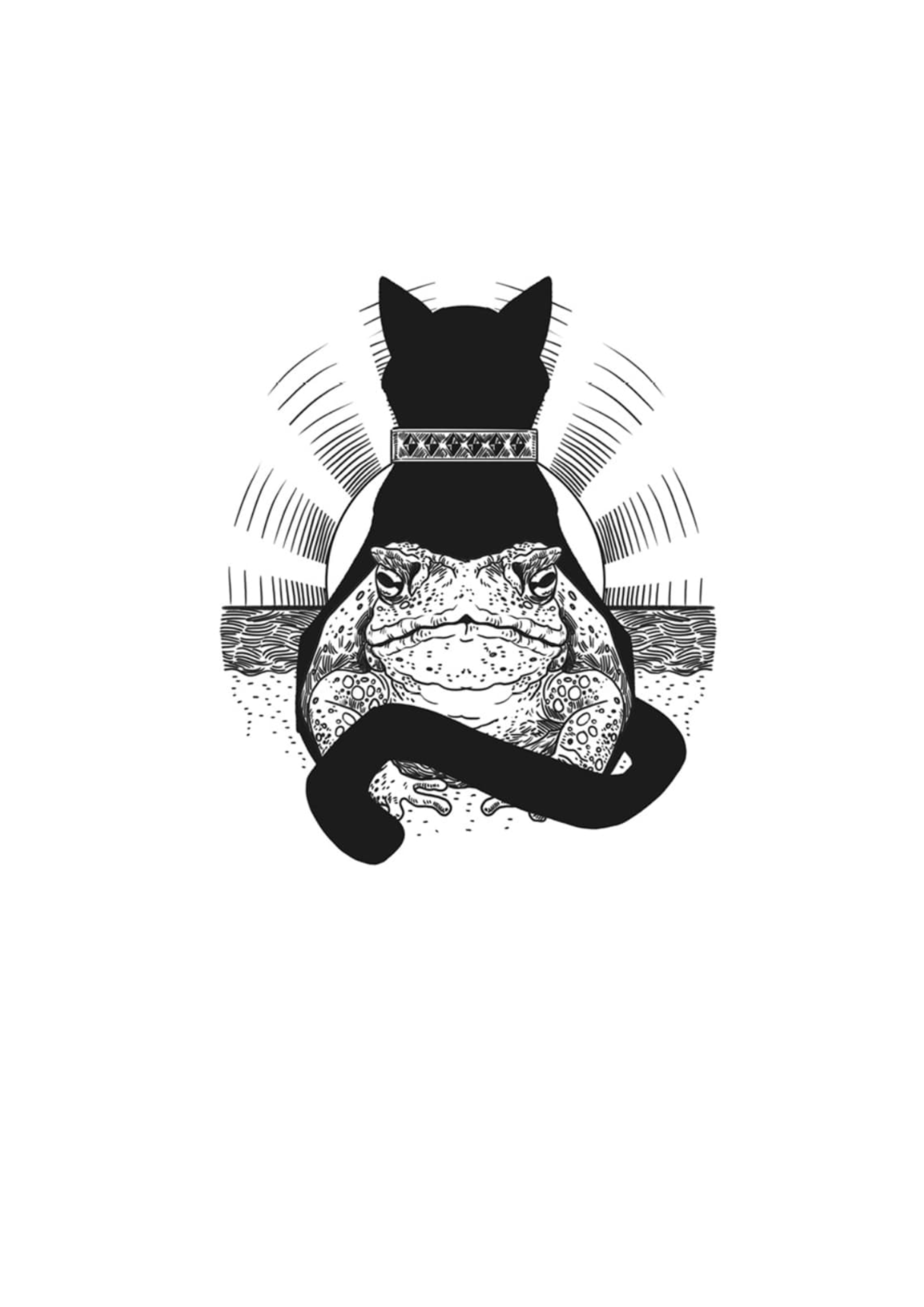 Nie oceniaj kota po rozmiarze book cover