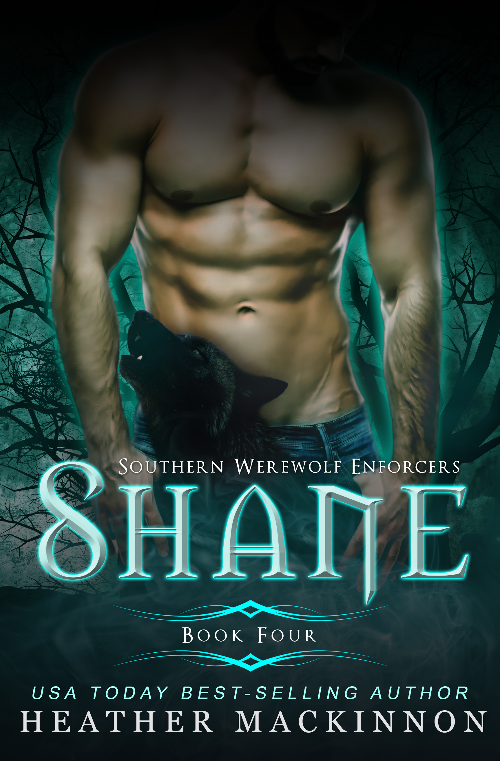 Shane book cover