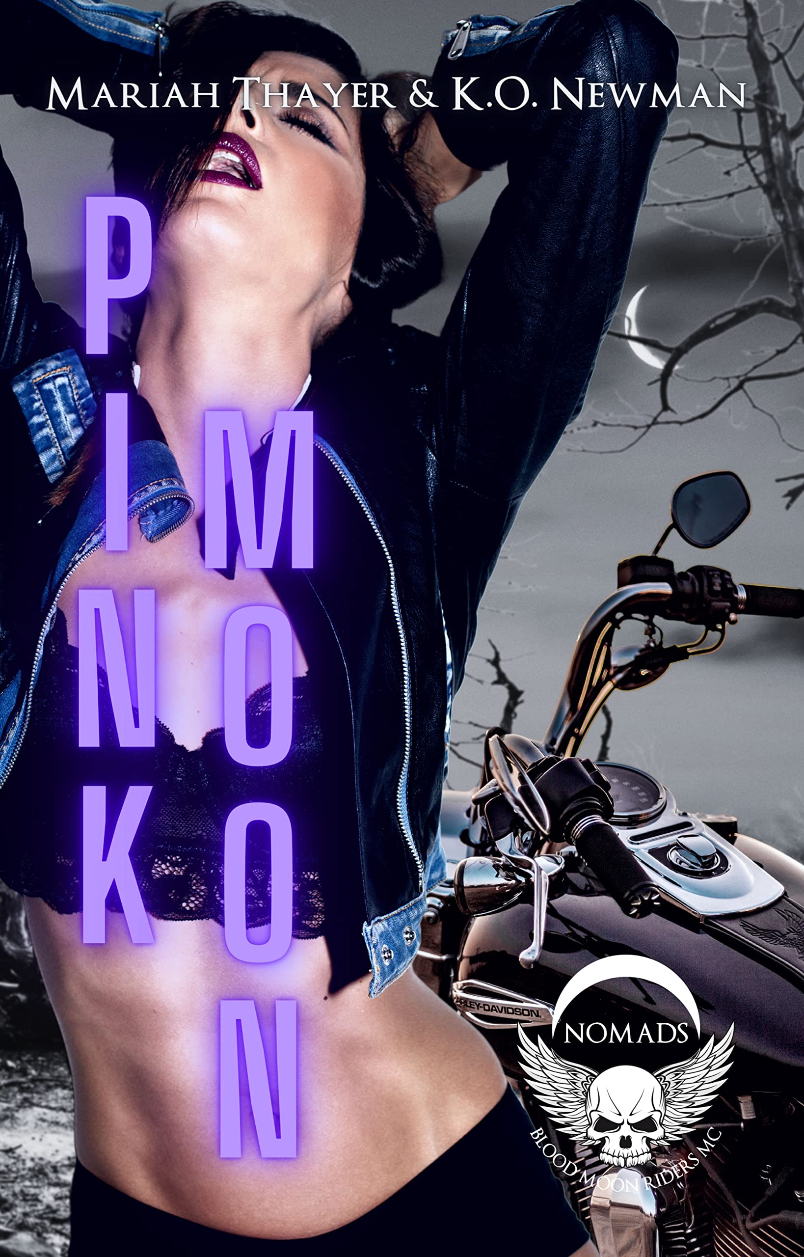 Blood Moon Riders Motorcycle Club book cover 2