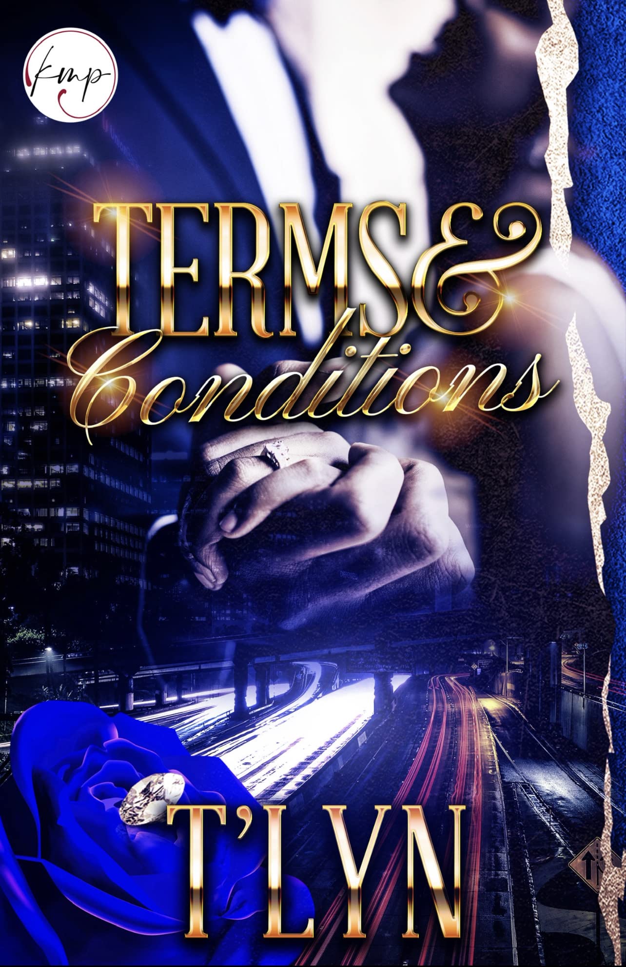 Terms & Conditions book cover