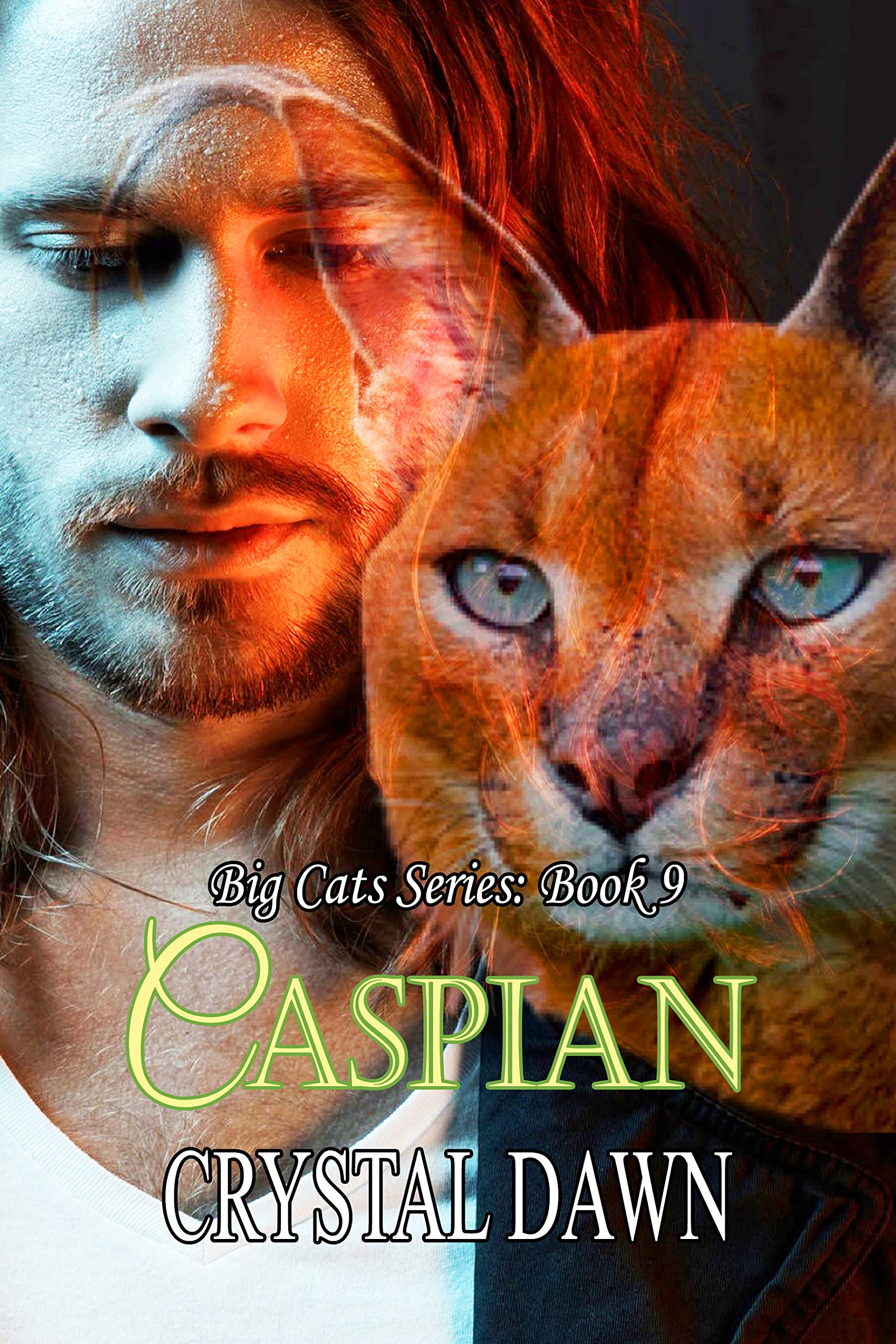 Caspian book cover
