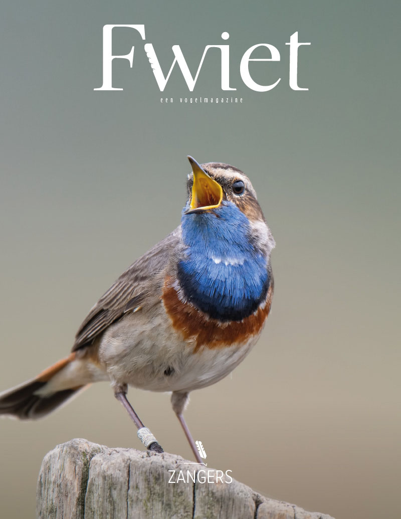 Fwiet #3: Zangers