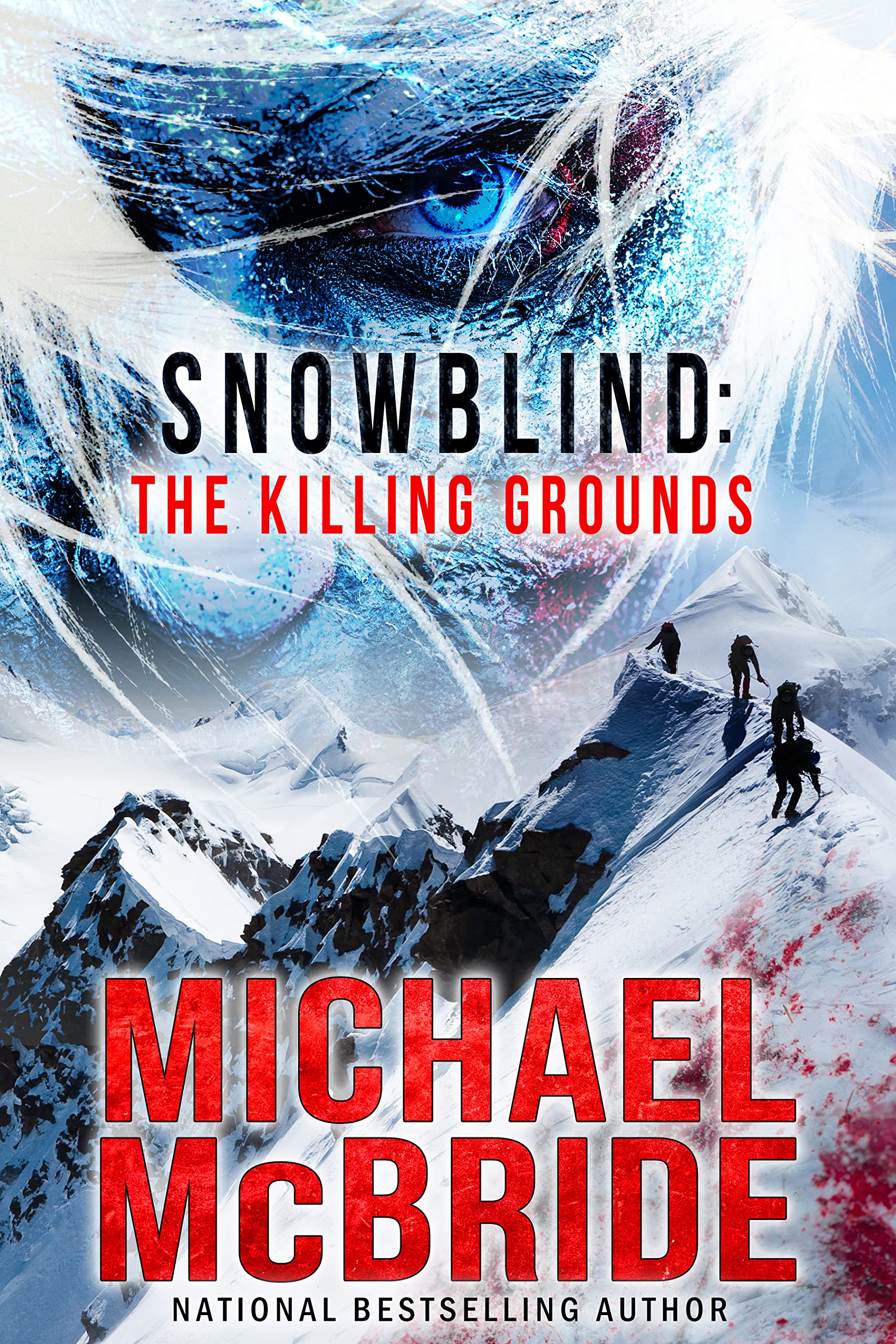 Snowblind book cover