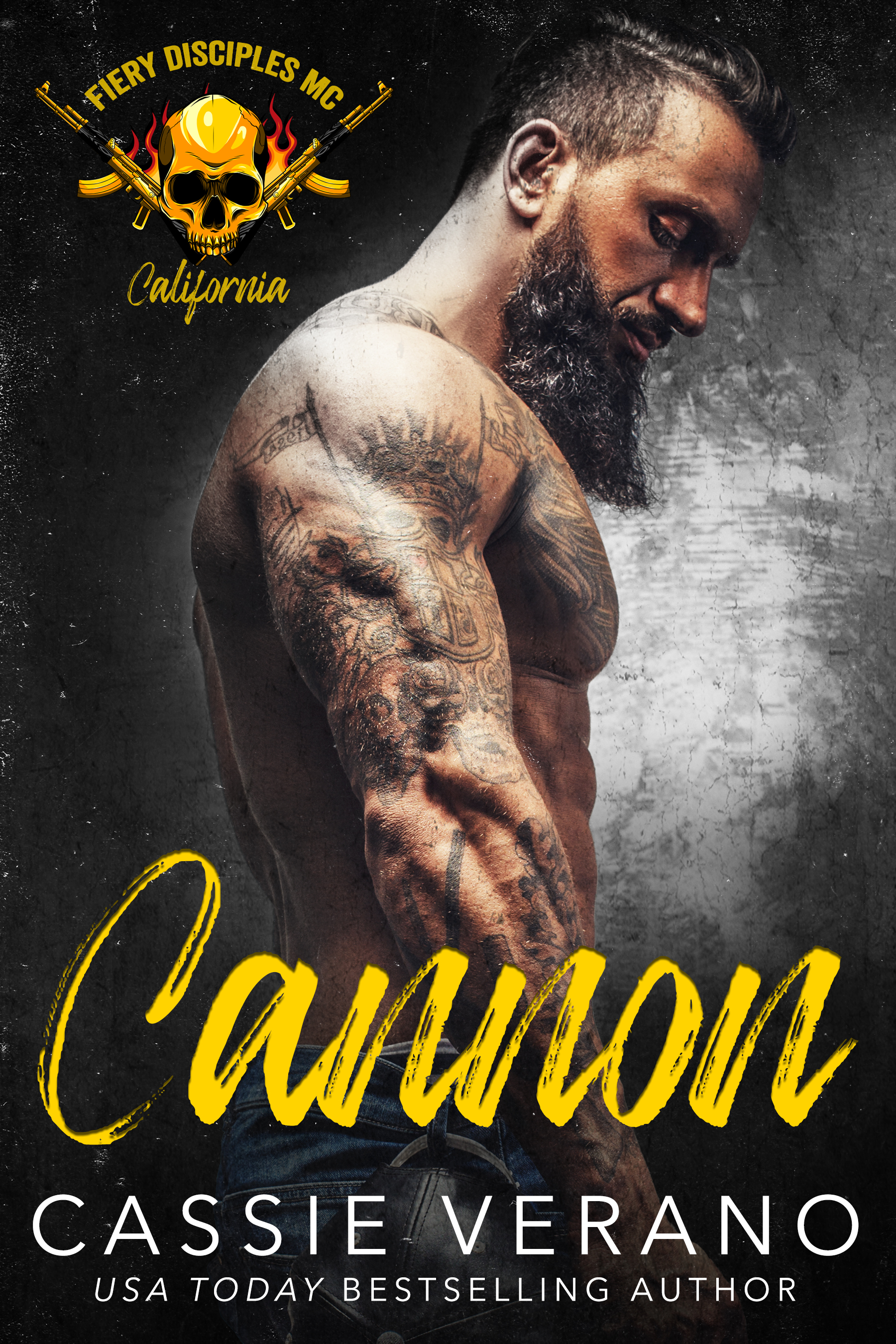Cannon book cover