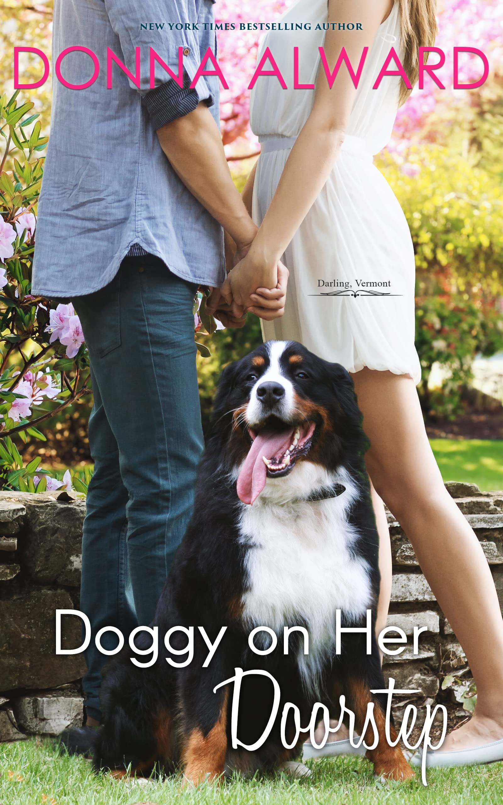 Doggy on her Doorstep book cover