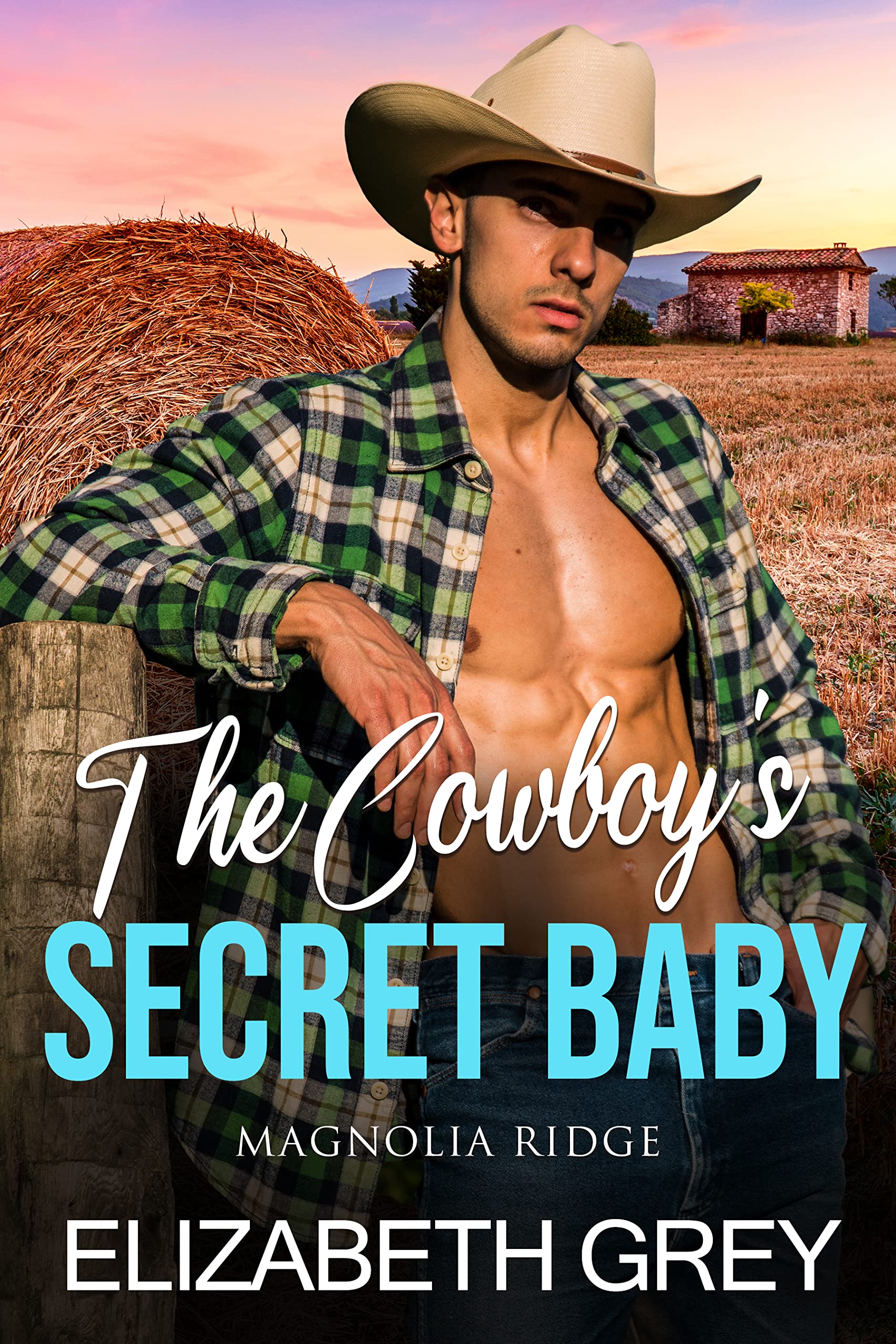 The Cowboy's Secret Baby