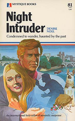 Night Intruder book cover
