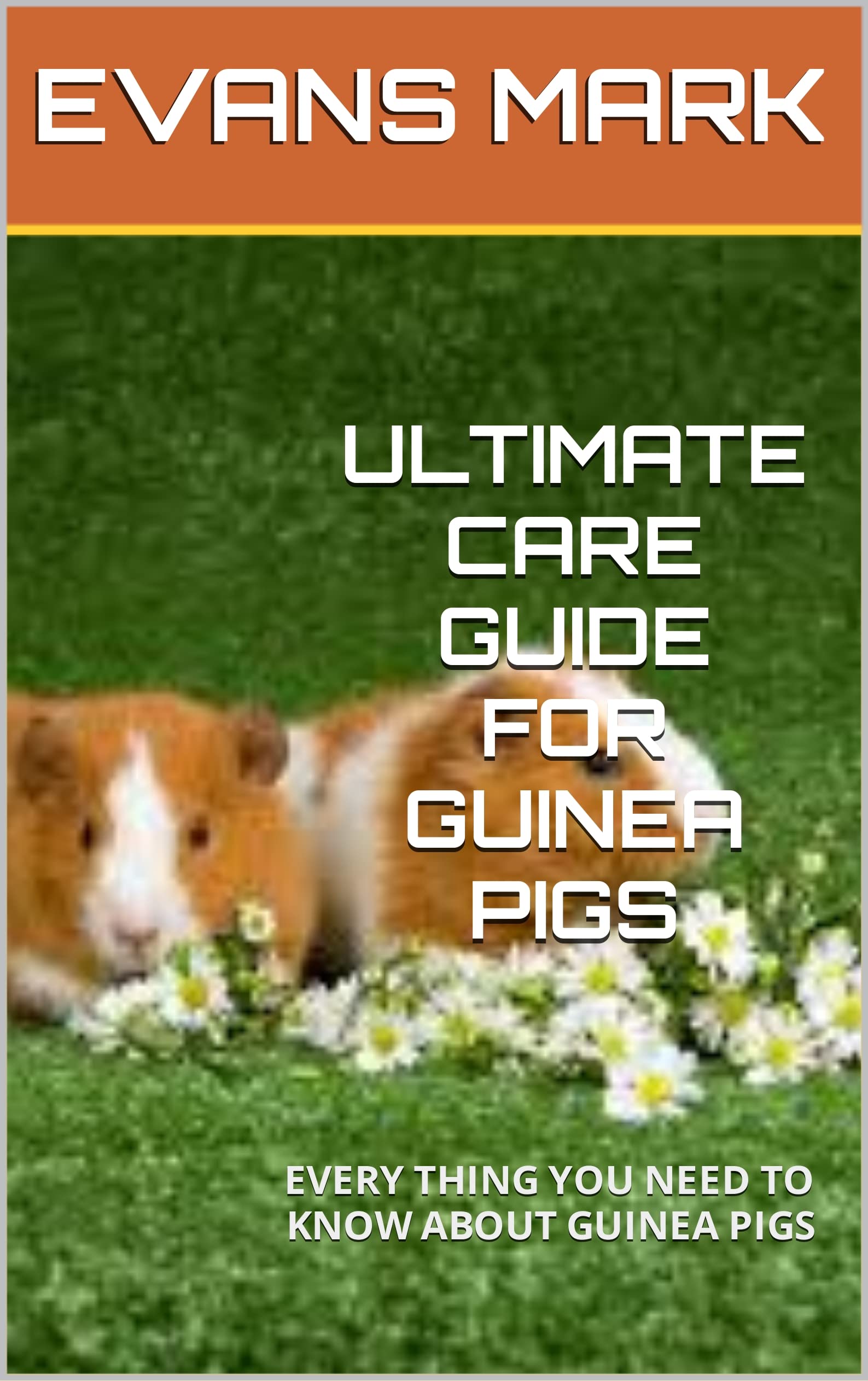ULTIMATE CARE GUIDE FOR GUINEA PIGS EVERY THING YOU NEED TO KNOW ABOUT