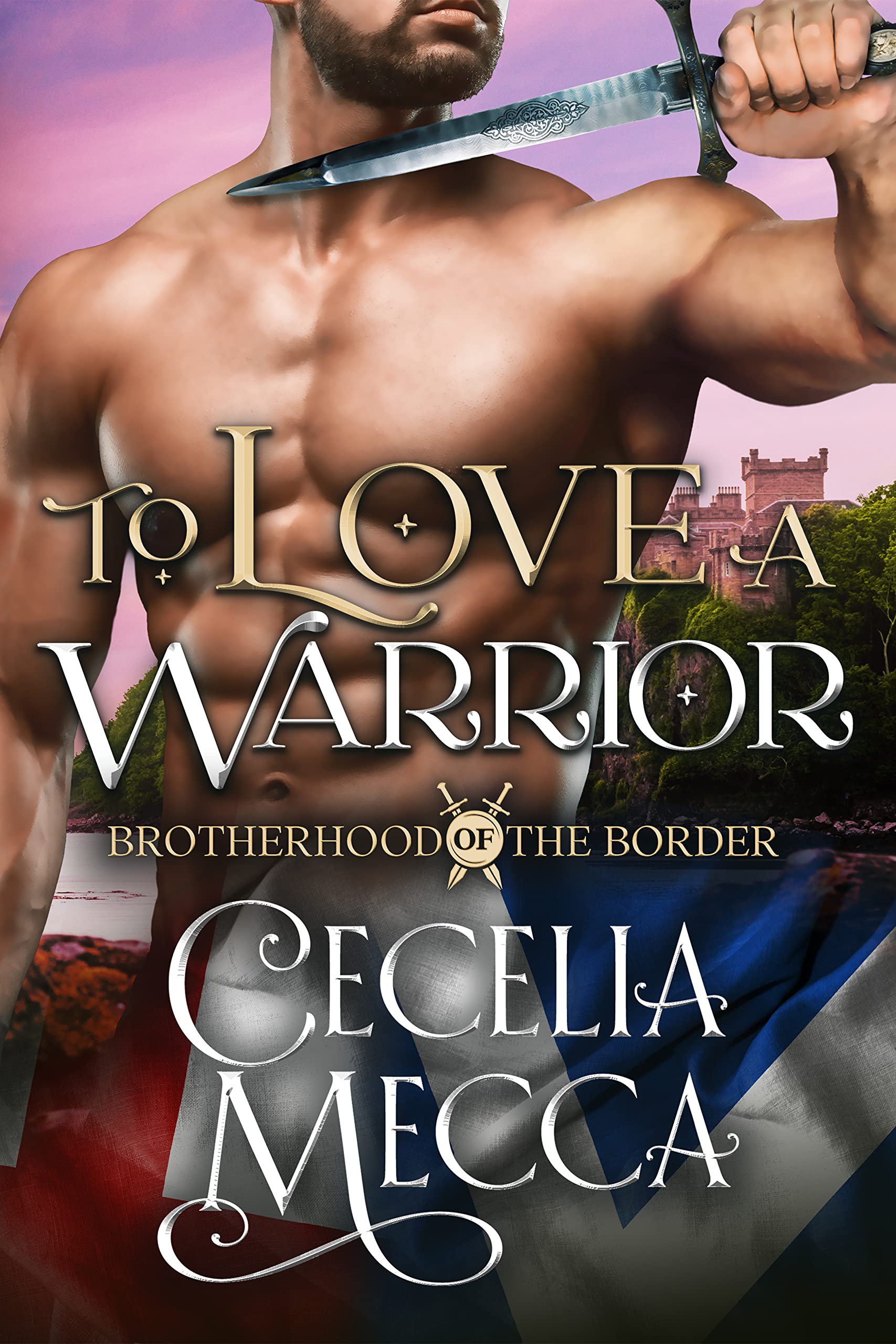 To Love a Warrior book cover