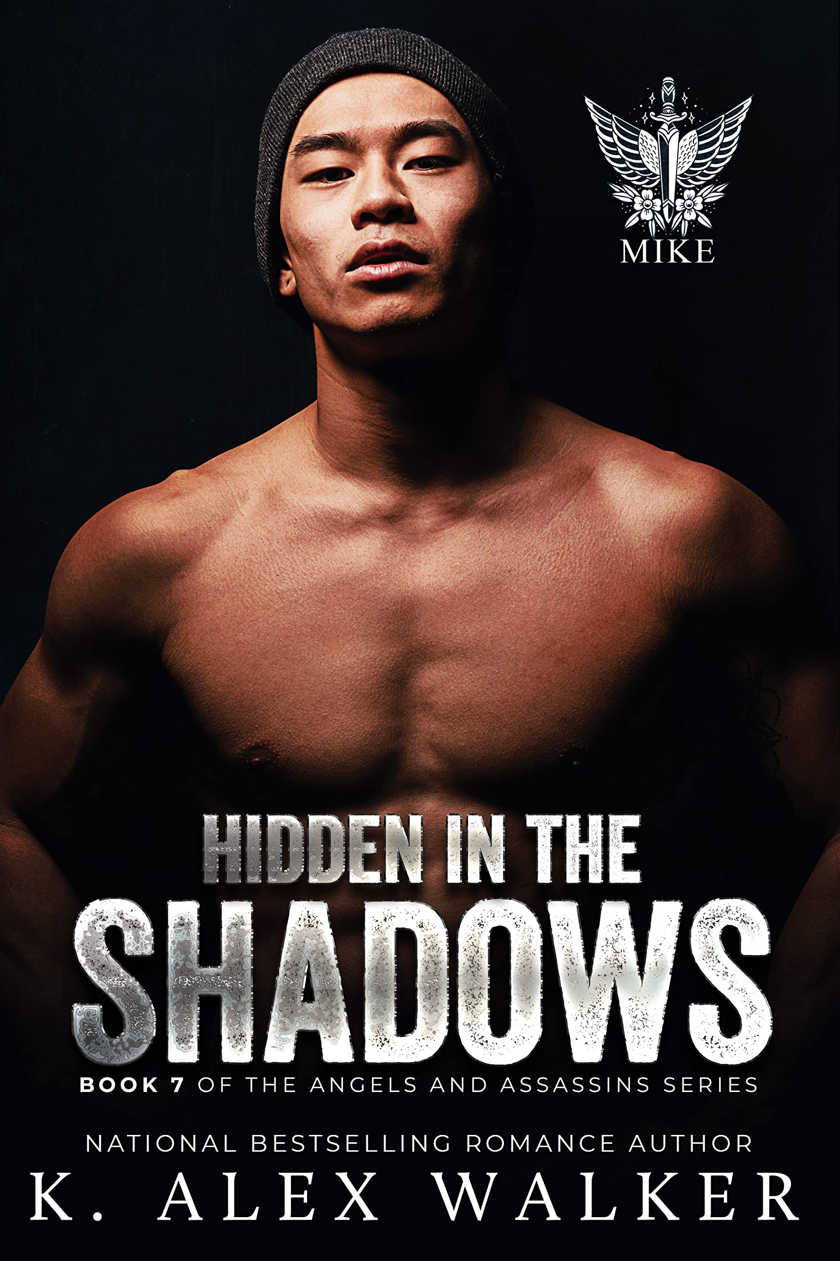 Hidden In The Shadows book cover