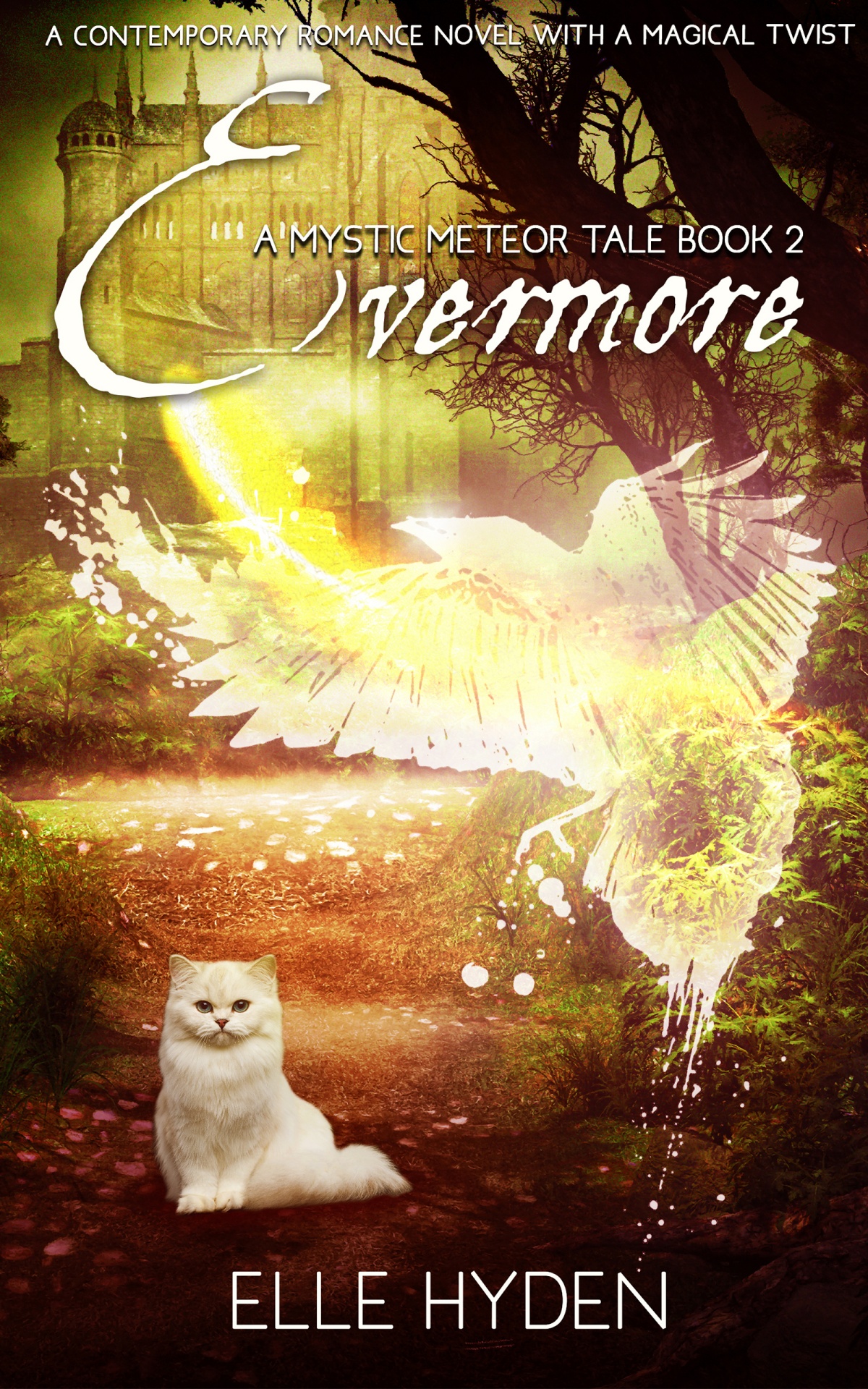 Evermore (Mystic Meteor Tale, 2) by Elle Hyden Goodreads