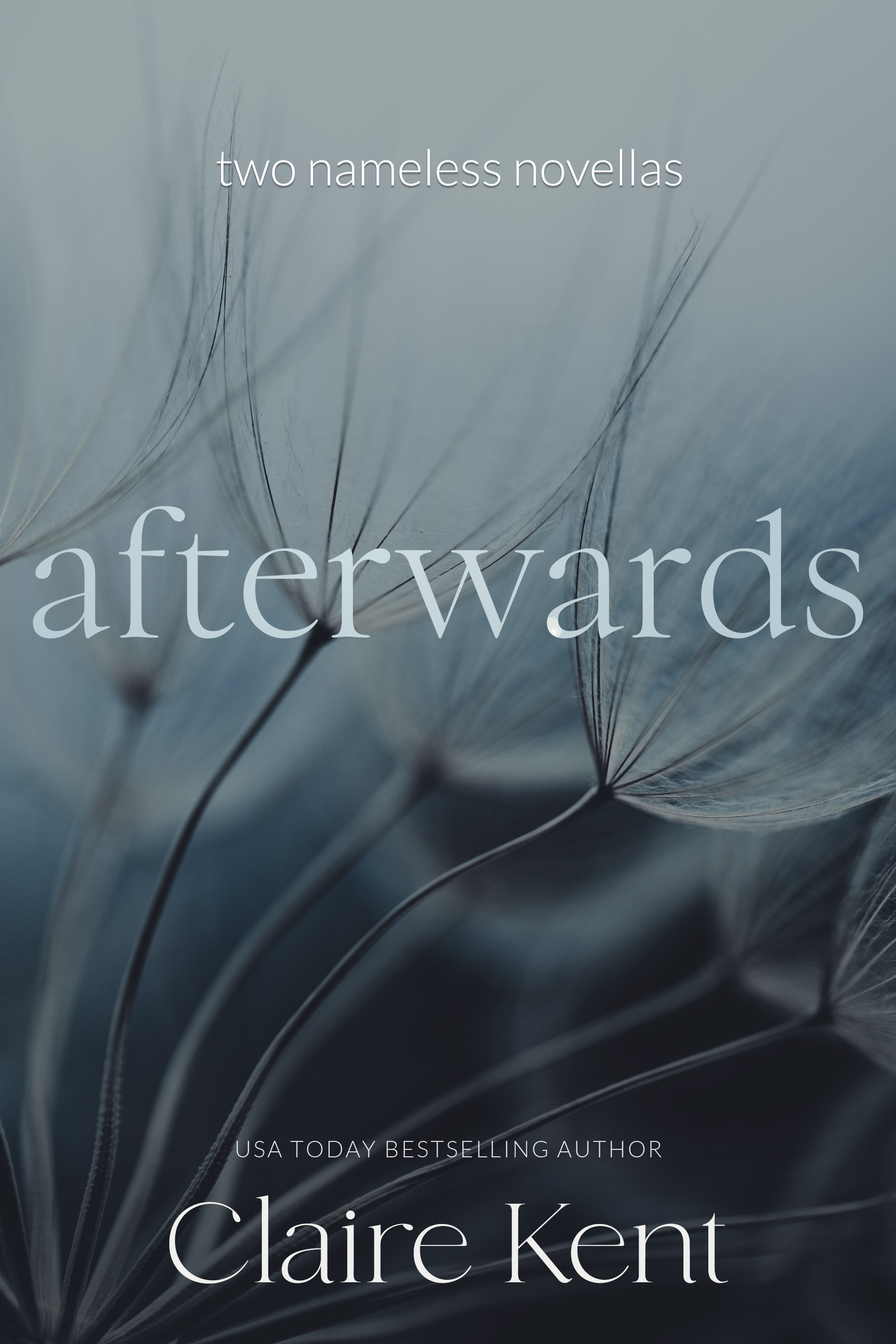 Afterwards book cover