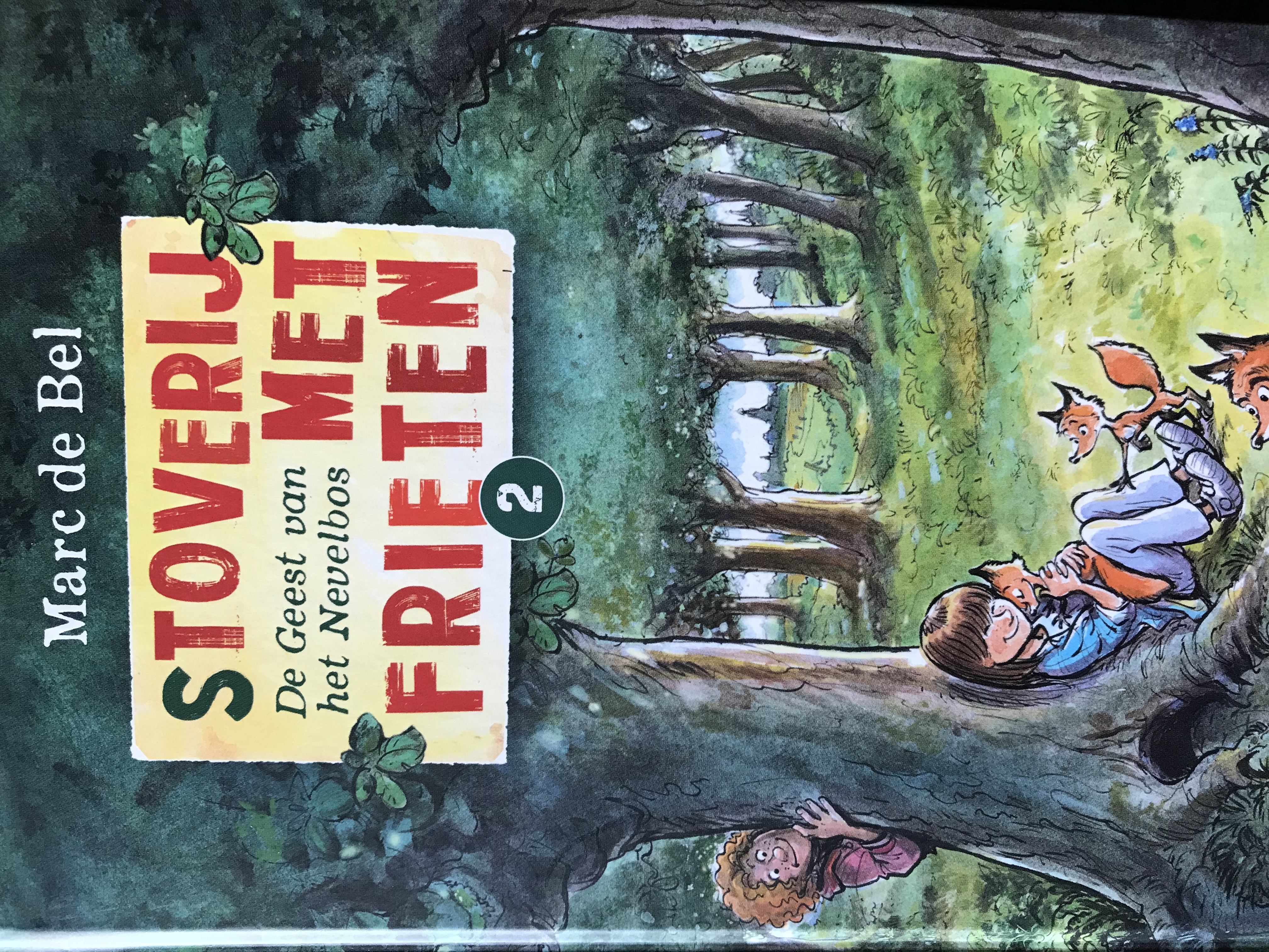 (S)toverij met frieten 2: De Geest van het Nevelbos